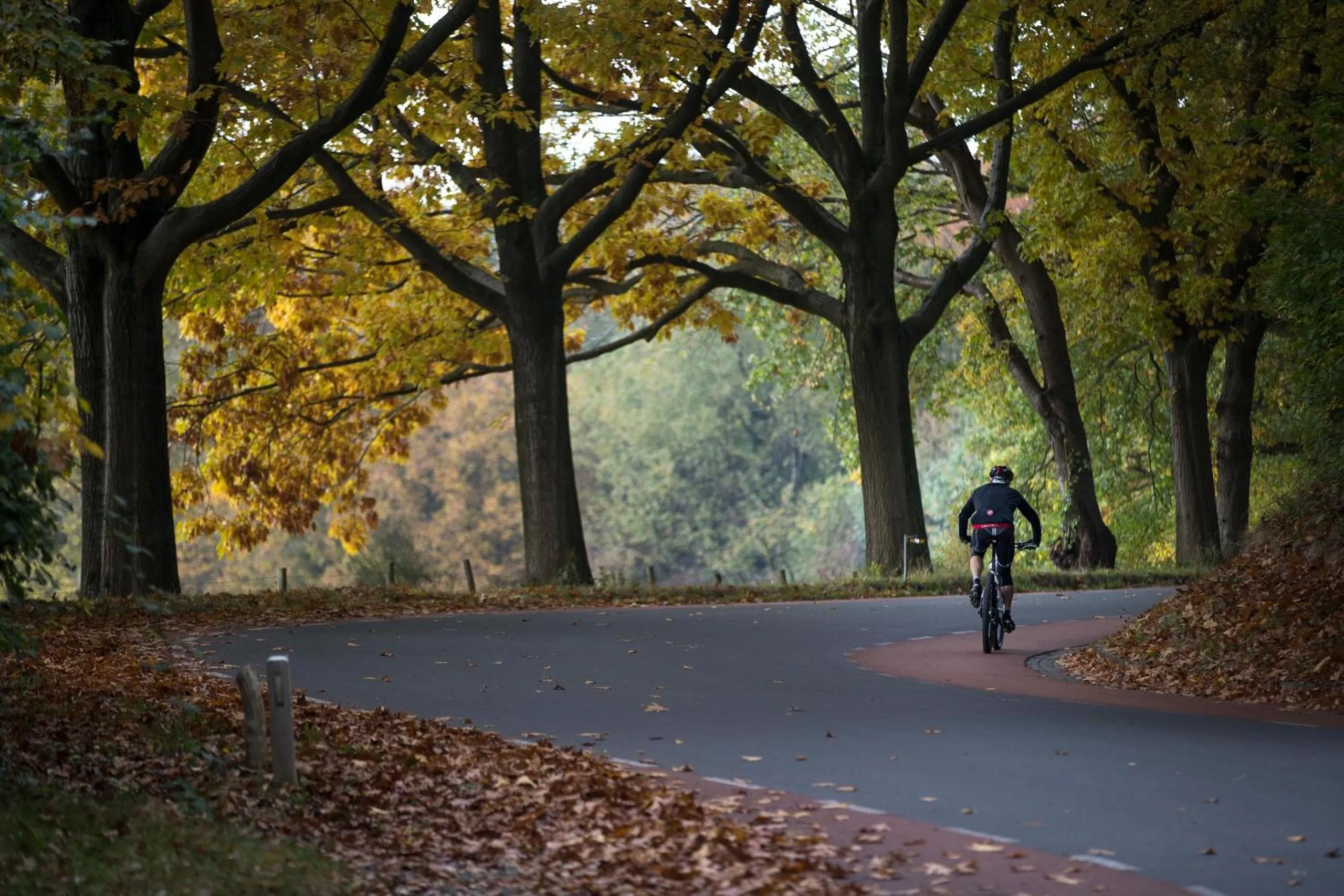 Cycling in Hotel Valkenburg by Mercure - Next to Shimano Experience Center