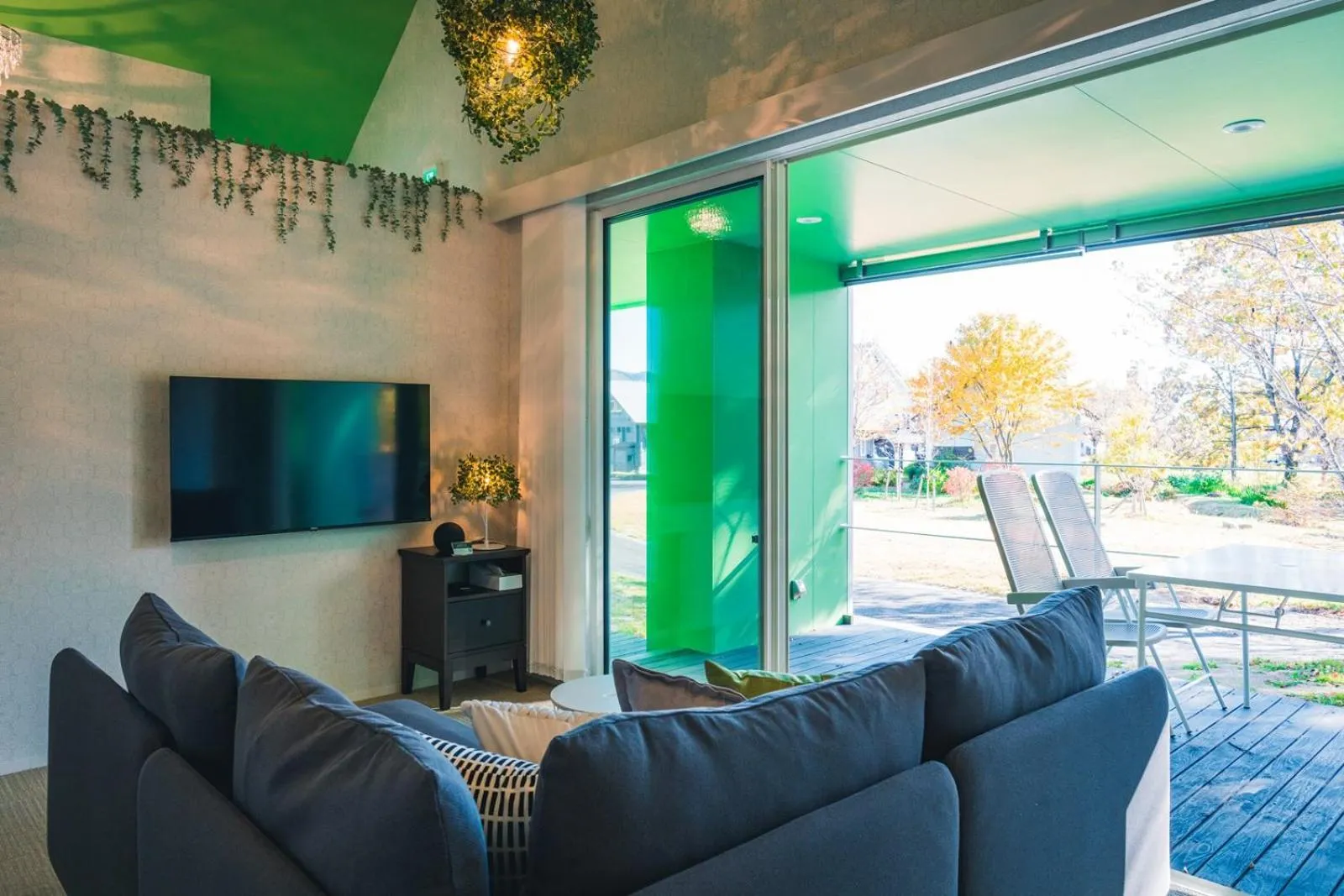 TV and multimedia in Holiday House Green Garden