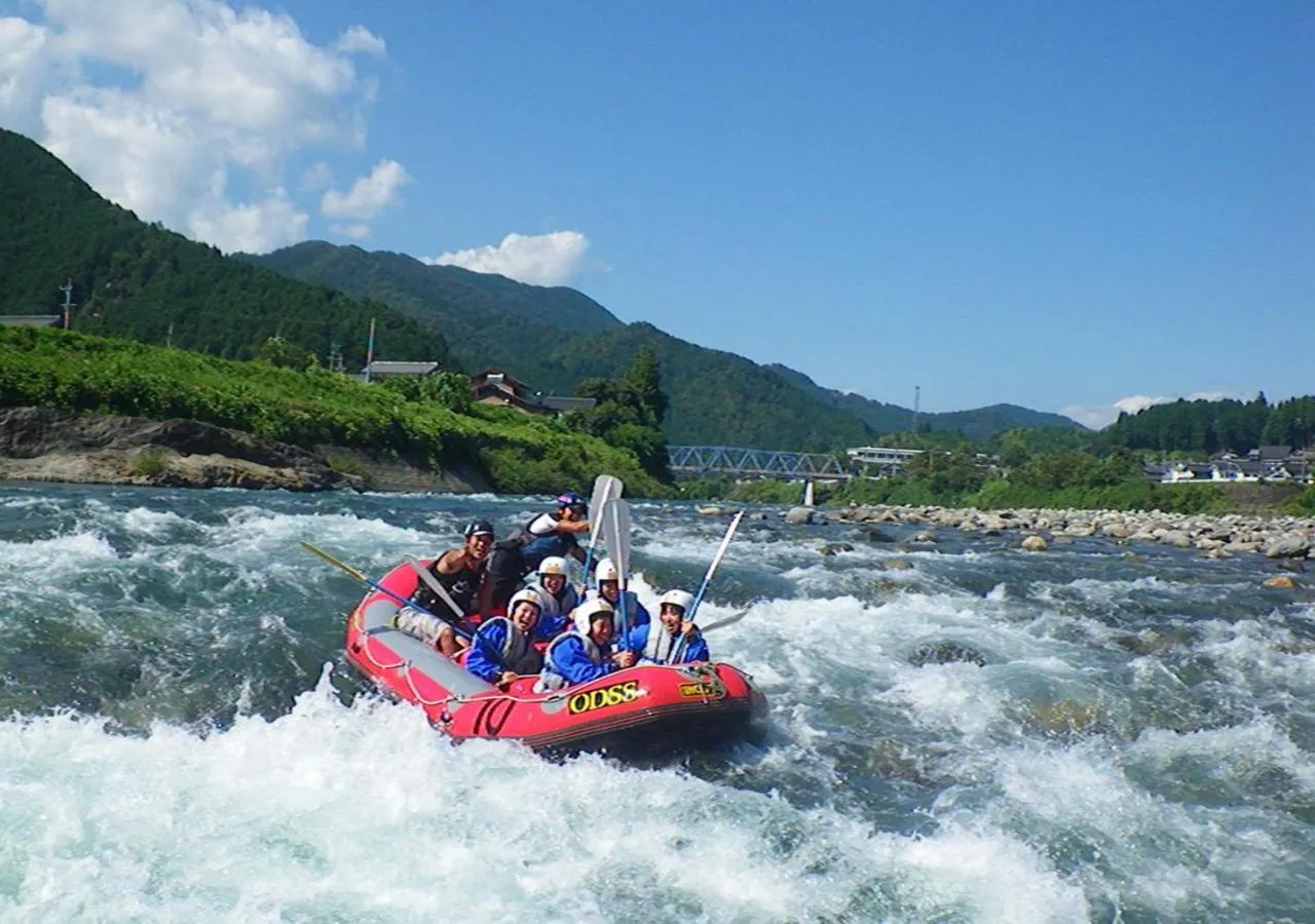 Sports in Holiday House Green Garden