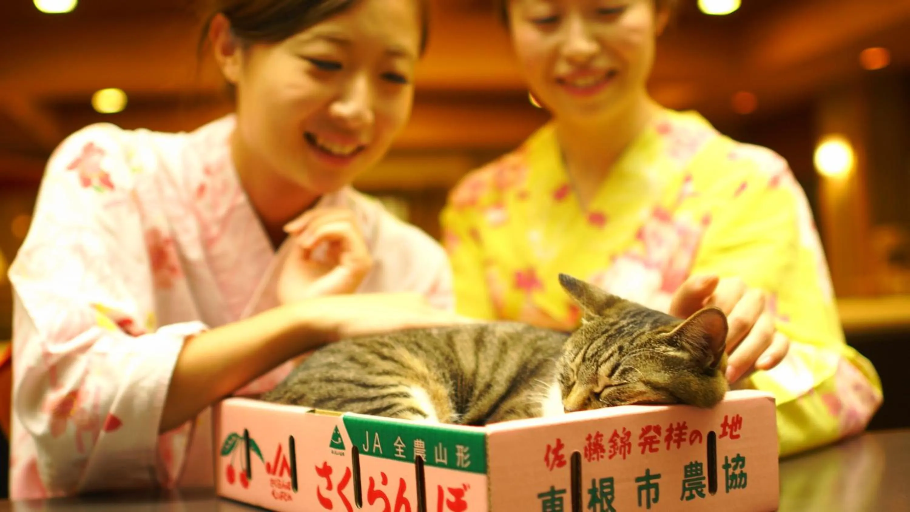 People in Shouhakutei Azumaso