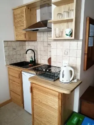 Kitchen or kitchenette in Aparthotel Pod Nosalem