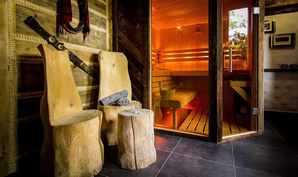Sauna in Aparthotel Pod Nosalem