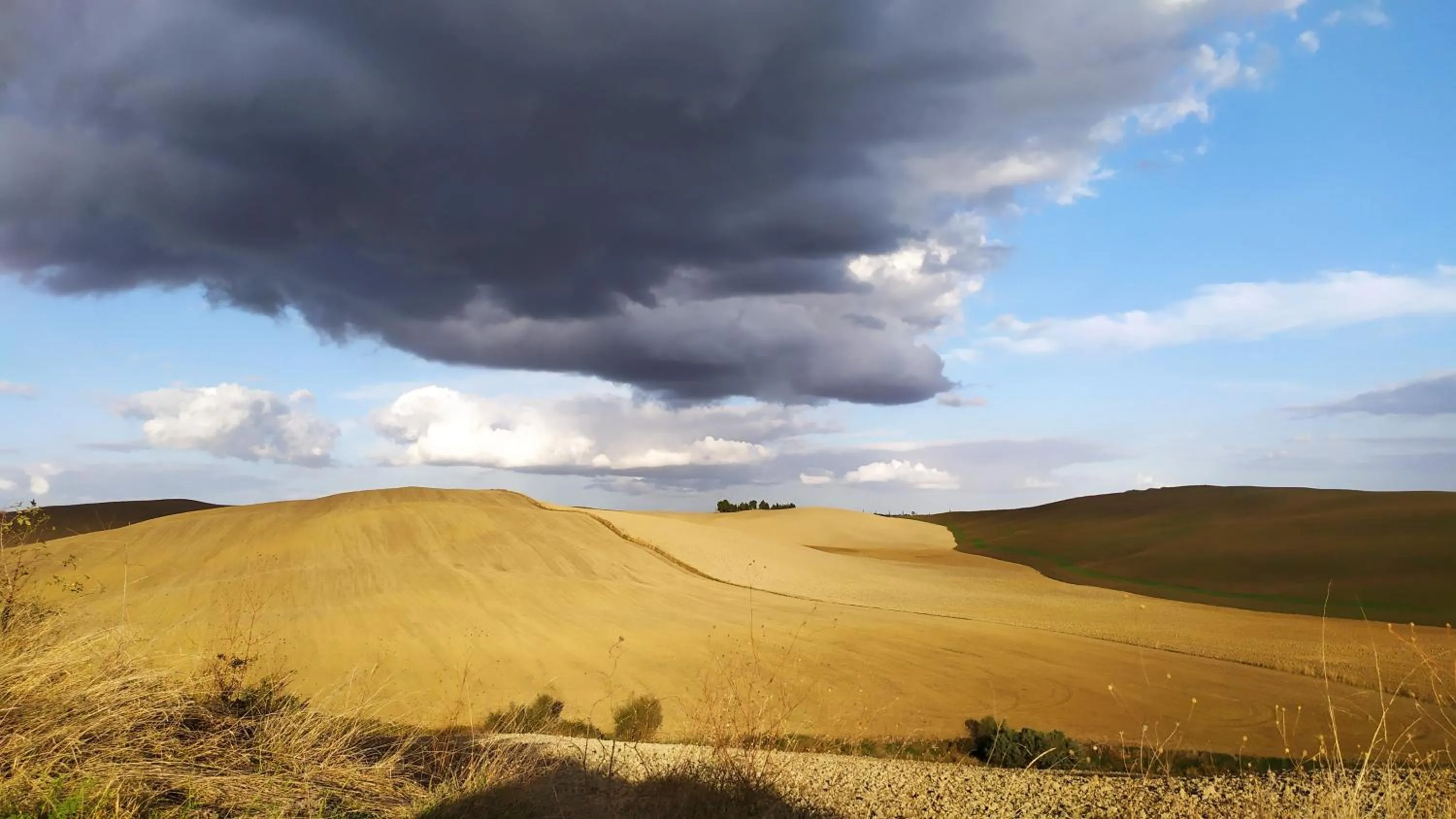 Natural landscape in DAGO Farmhouse