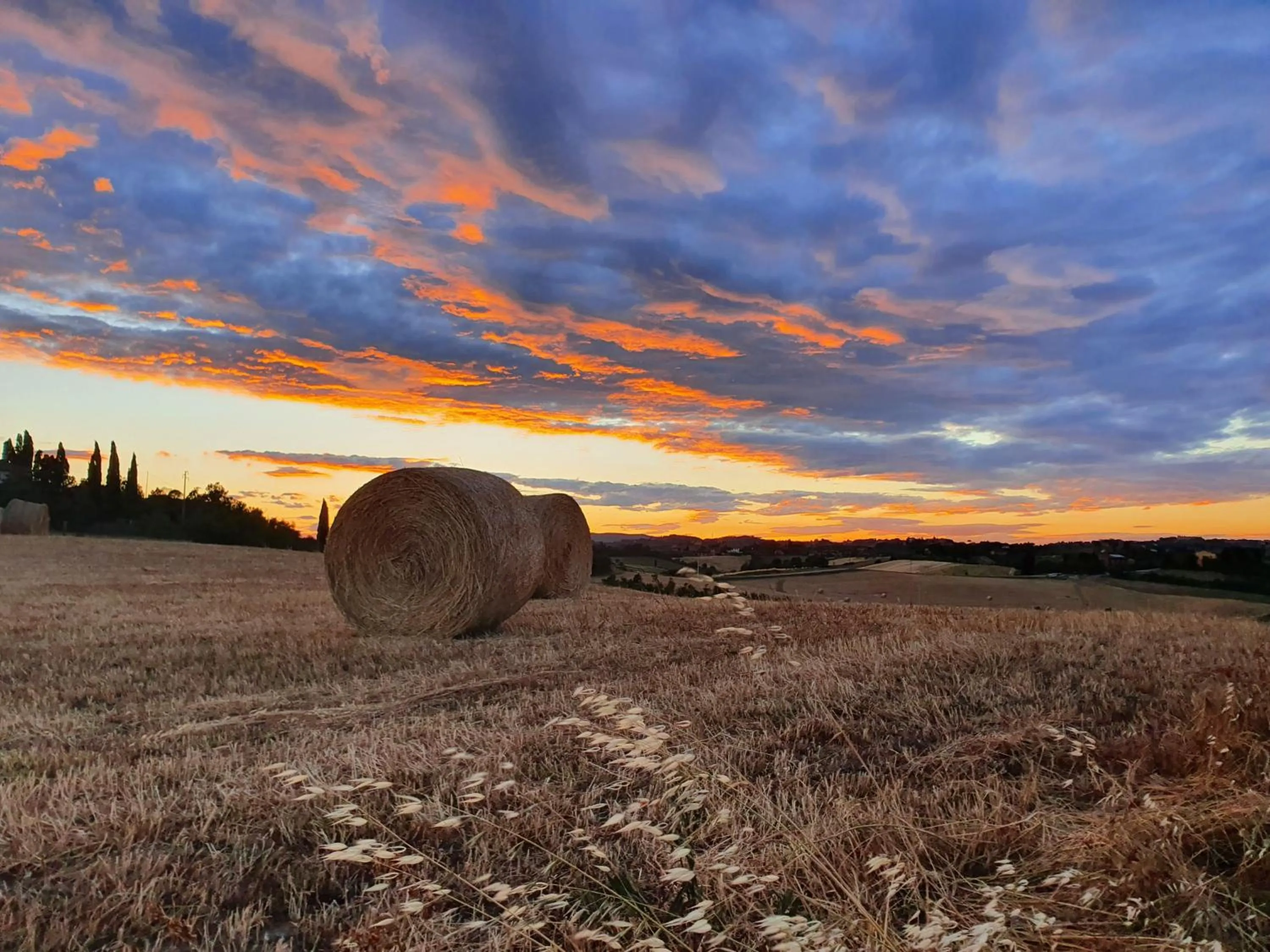 Sunset in DAGO Farmhouse