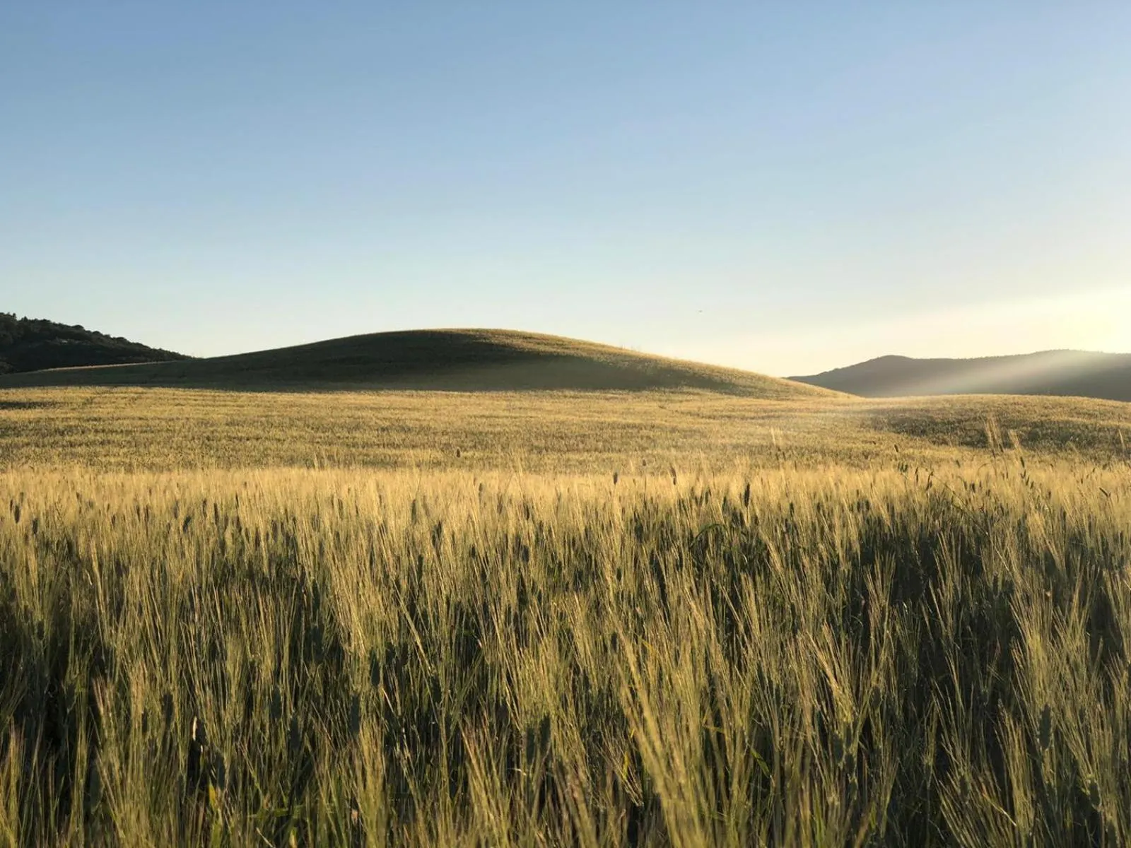 Natural landscape in DAGO Farmhouse