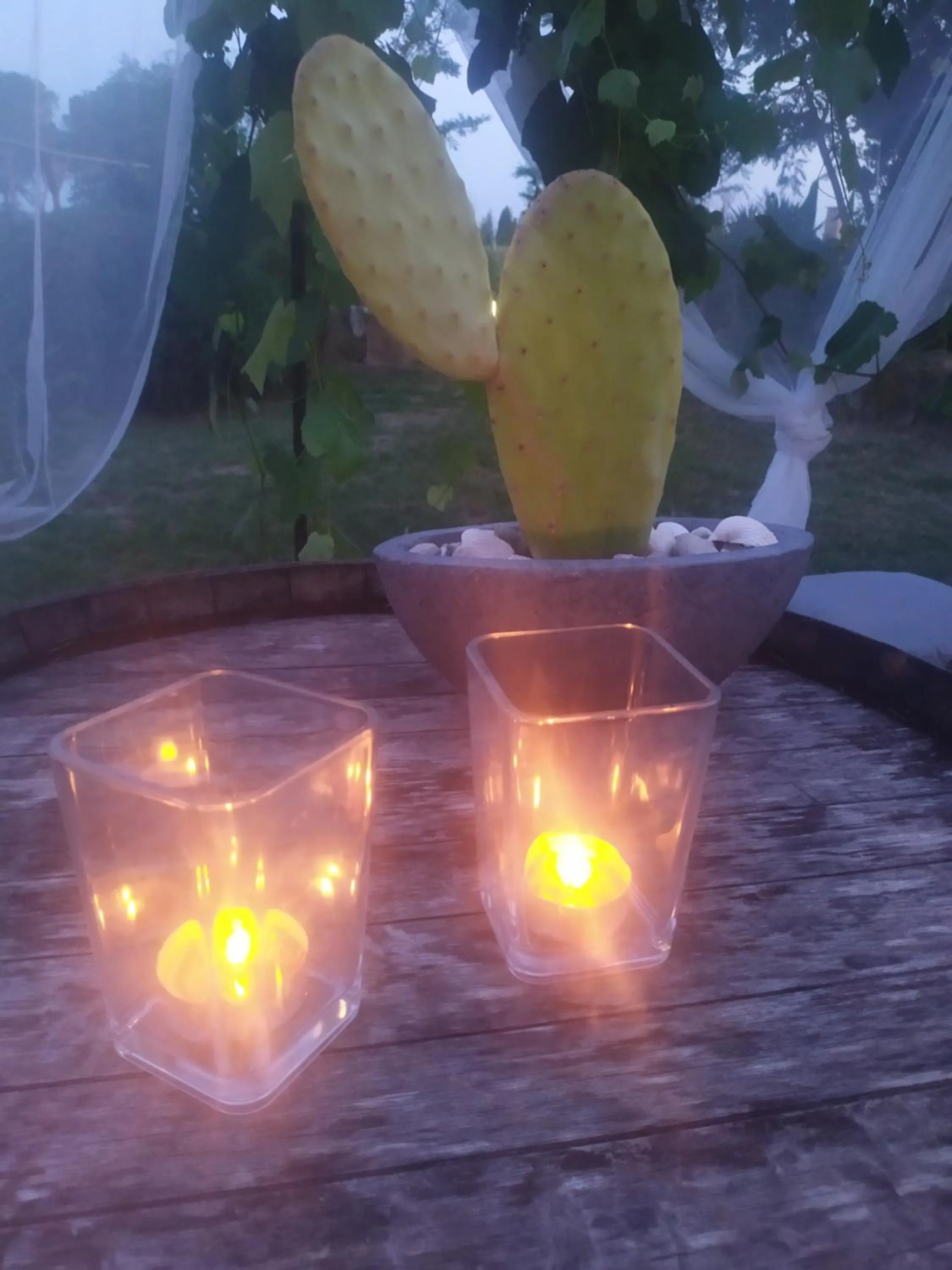 Night in DAGO Farmhouse