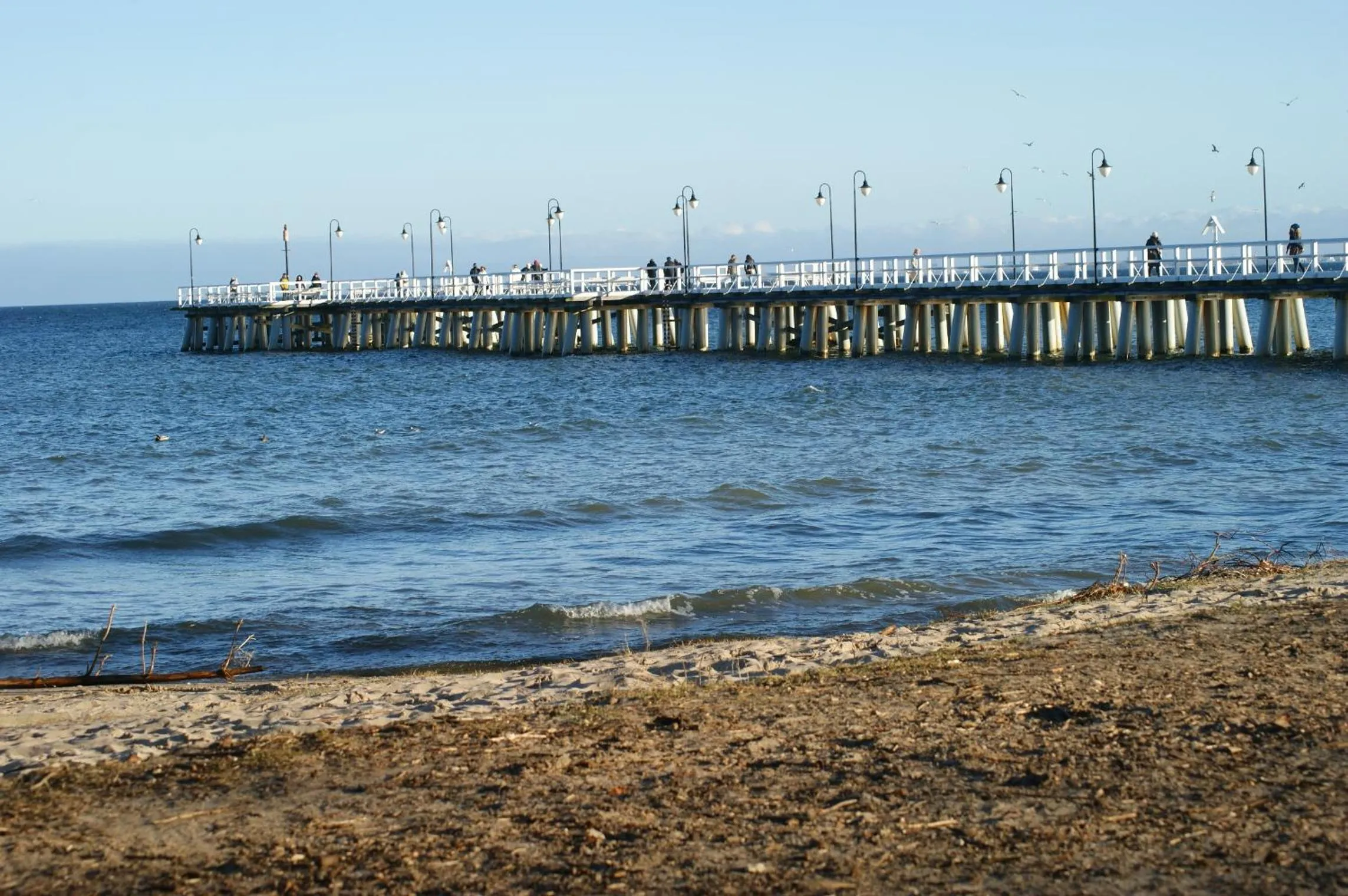 Day in IRS ROYAL APARTMENTS Apartamenty IRS Fregata