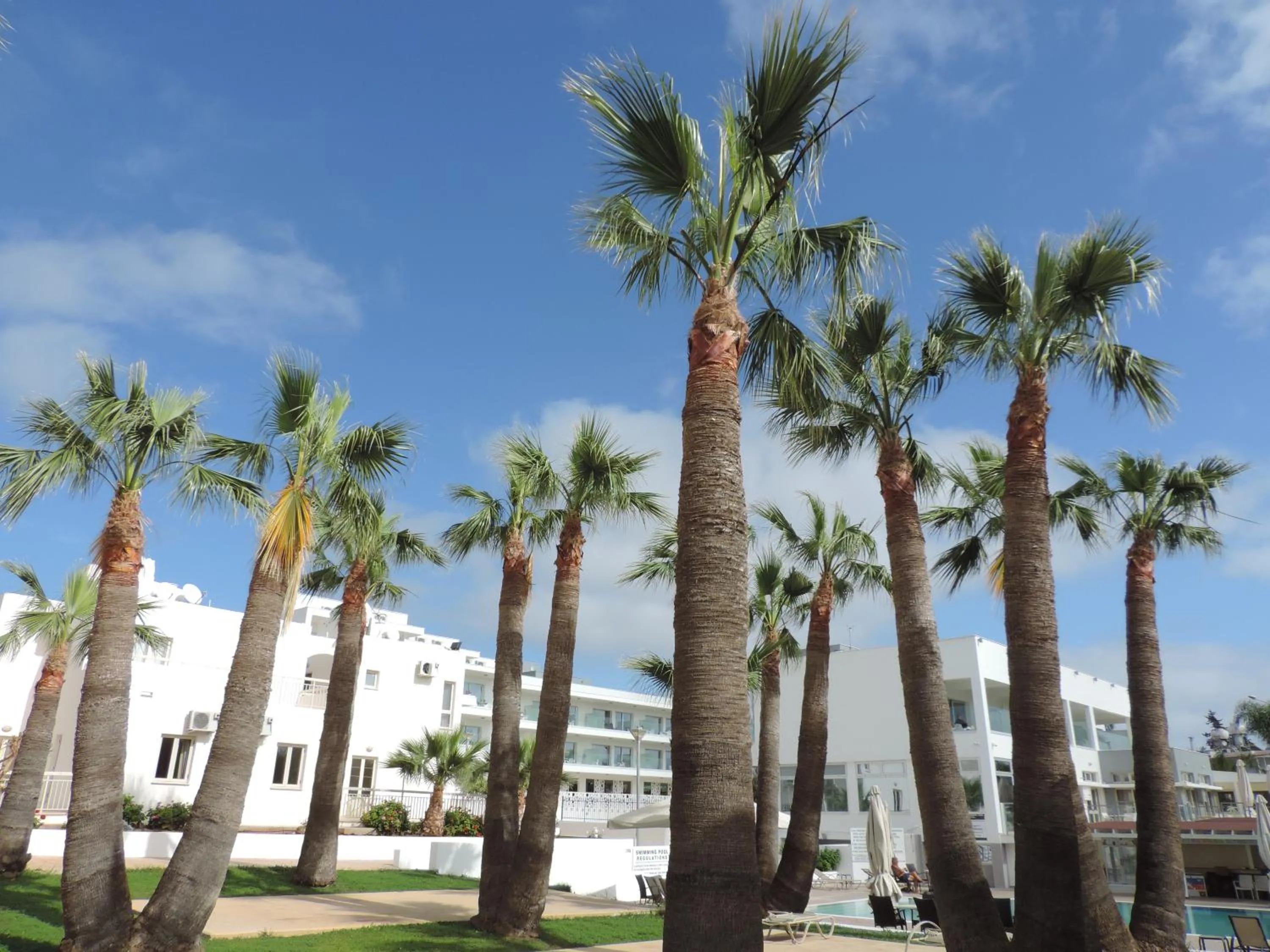 Patio in La Casa Di Napa Apartments