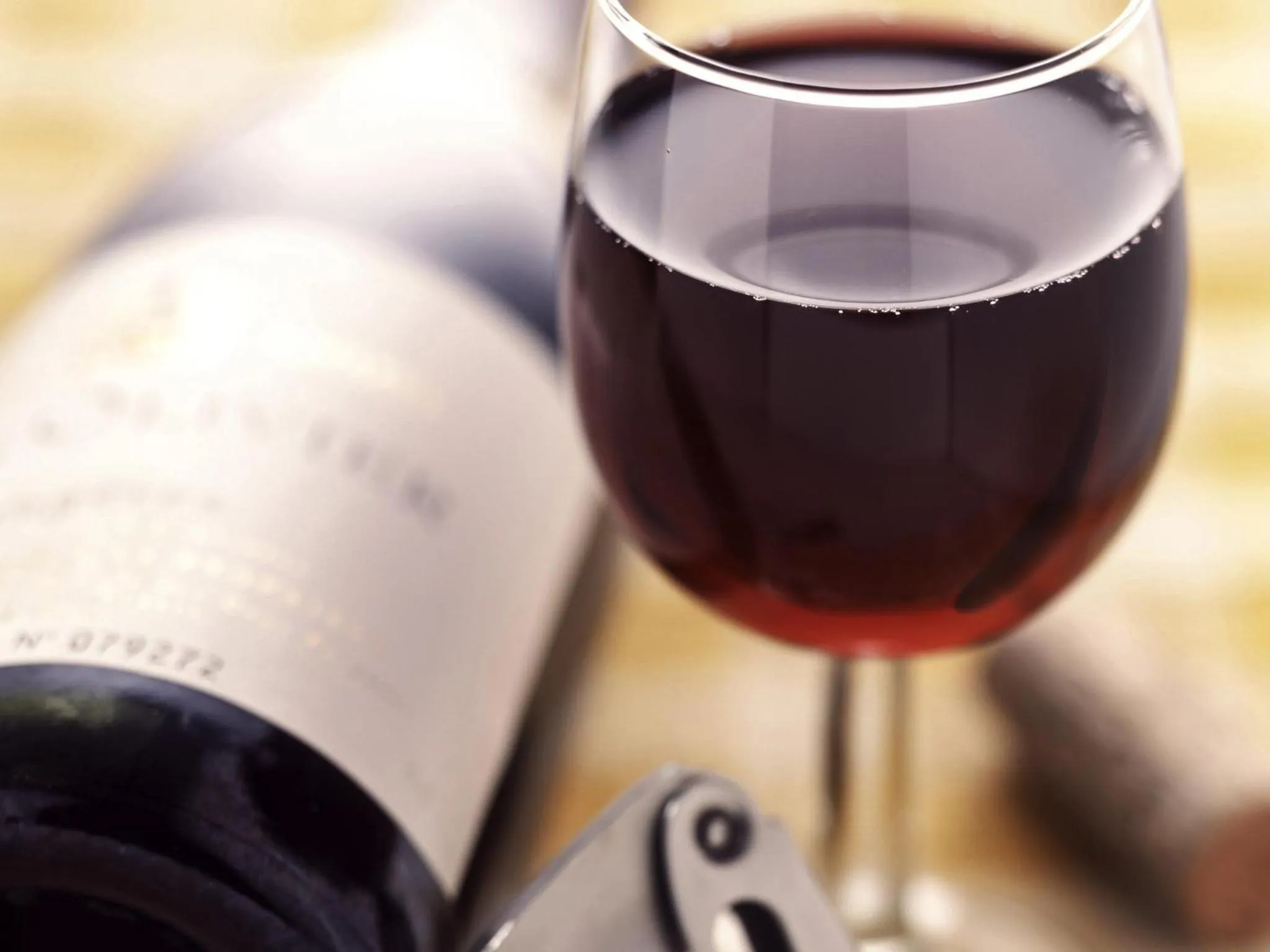 Lounge or bar in Ibis Constantine