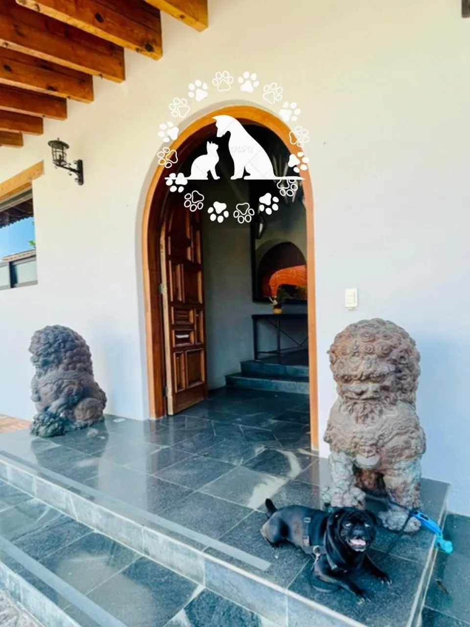 Pets in Hotel Boutique Unico Avandaro