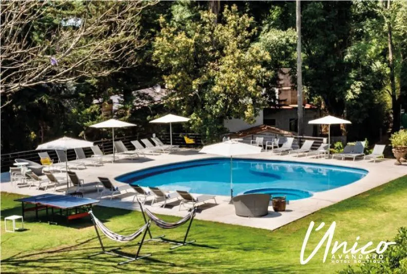 Natural landscape in Hotel Boutique Unico Avandaro