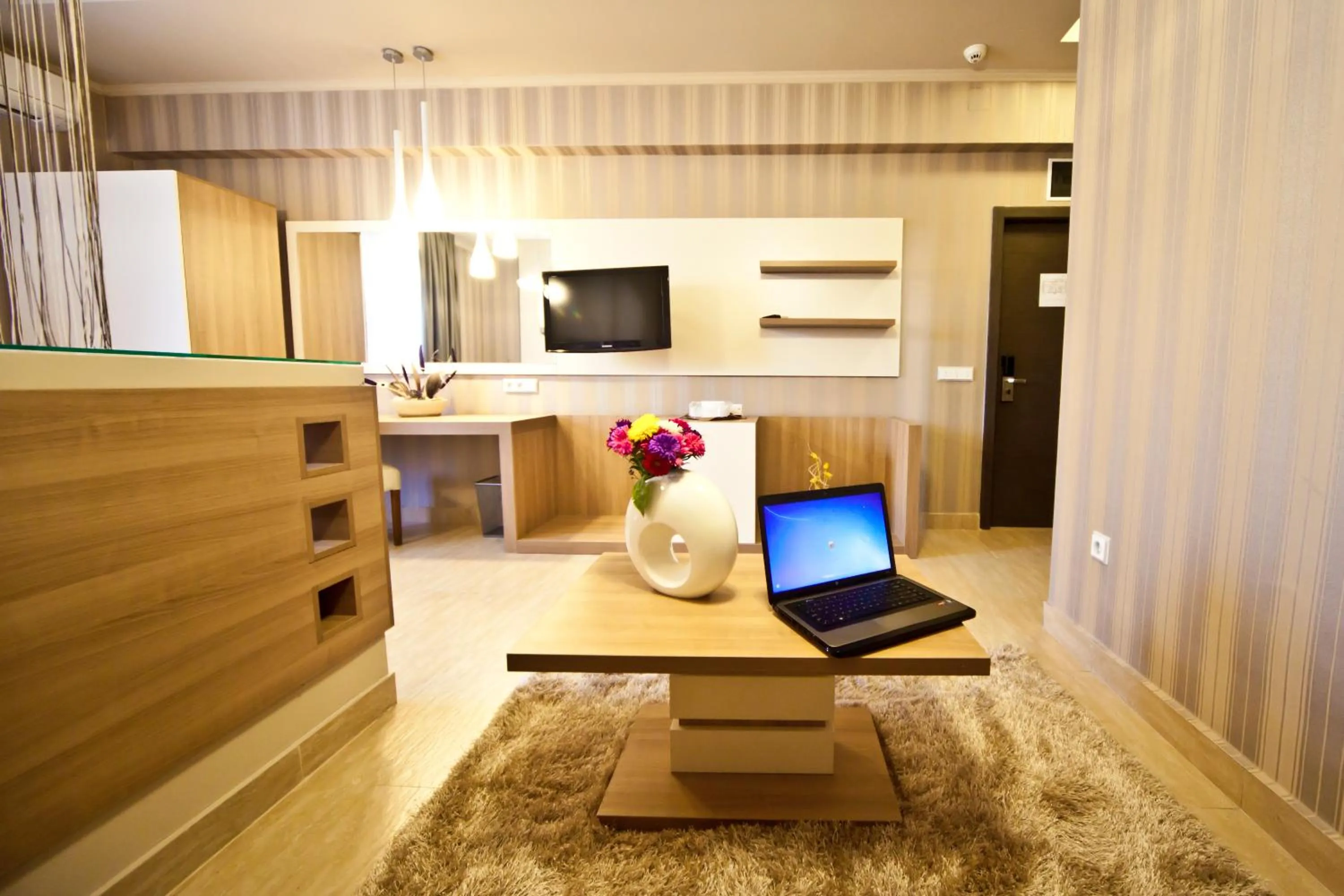 TV and multimedia in Hotel Confort