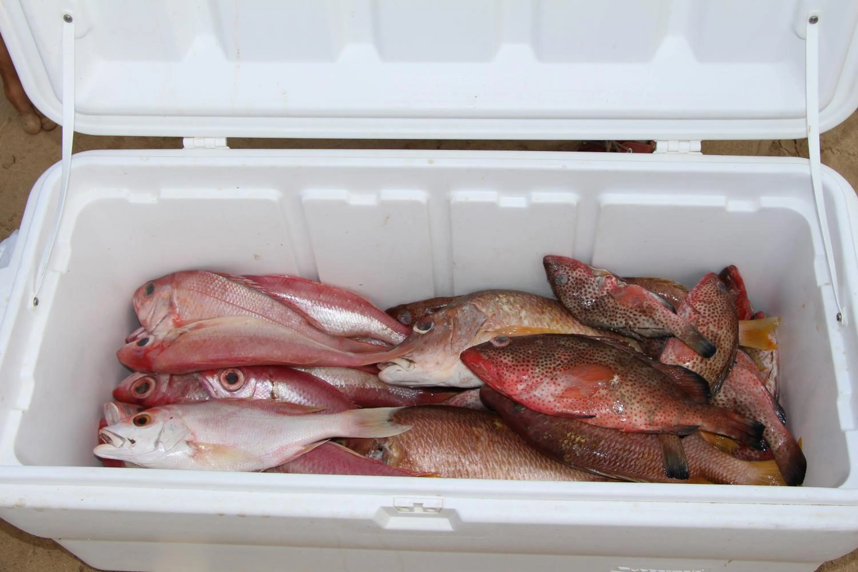 Caribbean Beach Villa Playa Bonita Las Terrenas