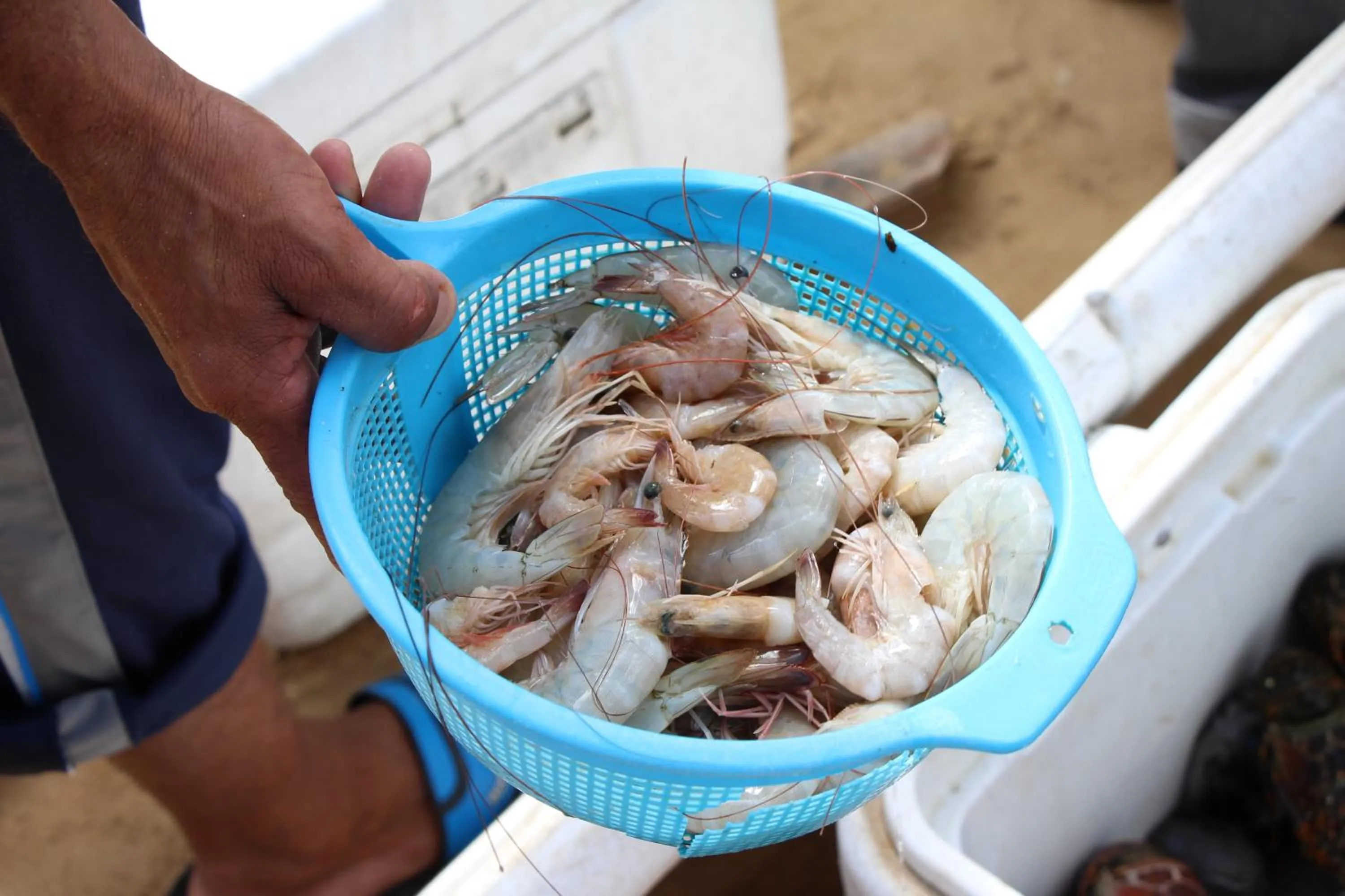 Caribbean Beach Villa Playa Bonita Las Terrenas