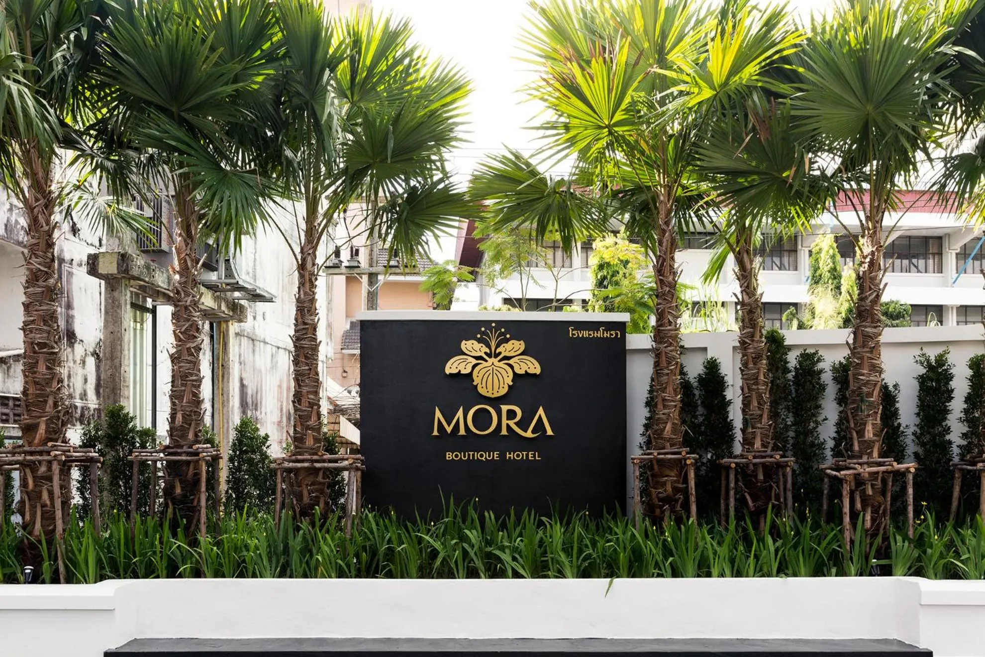 Garden in MORA Boutique Hotel