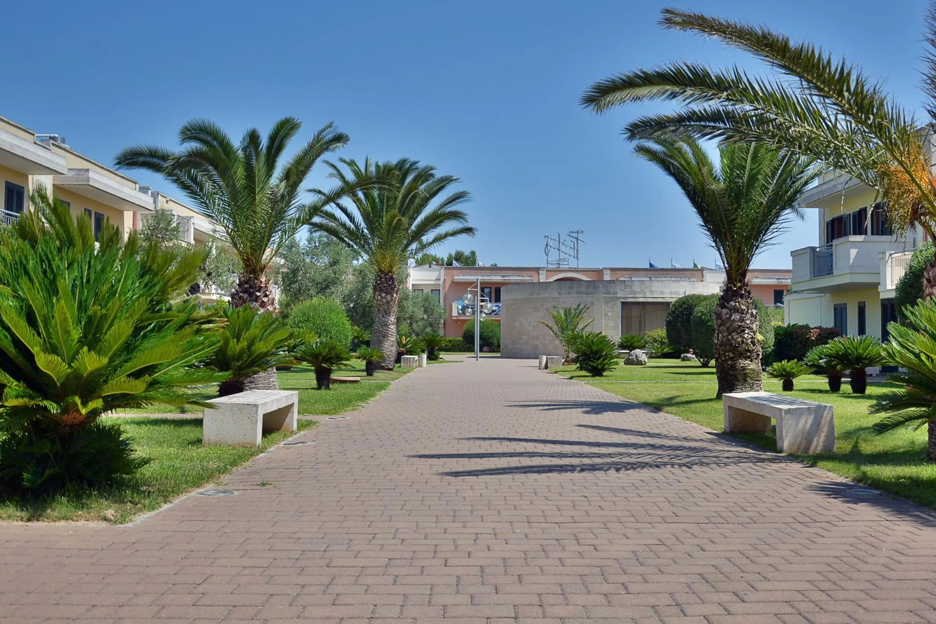 Garden in Hotel Thàlas Club