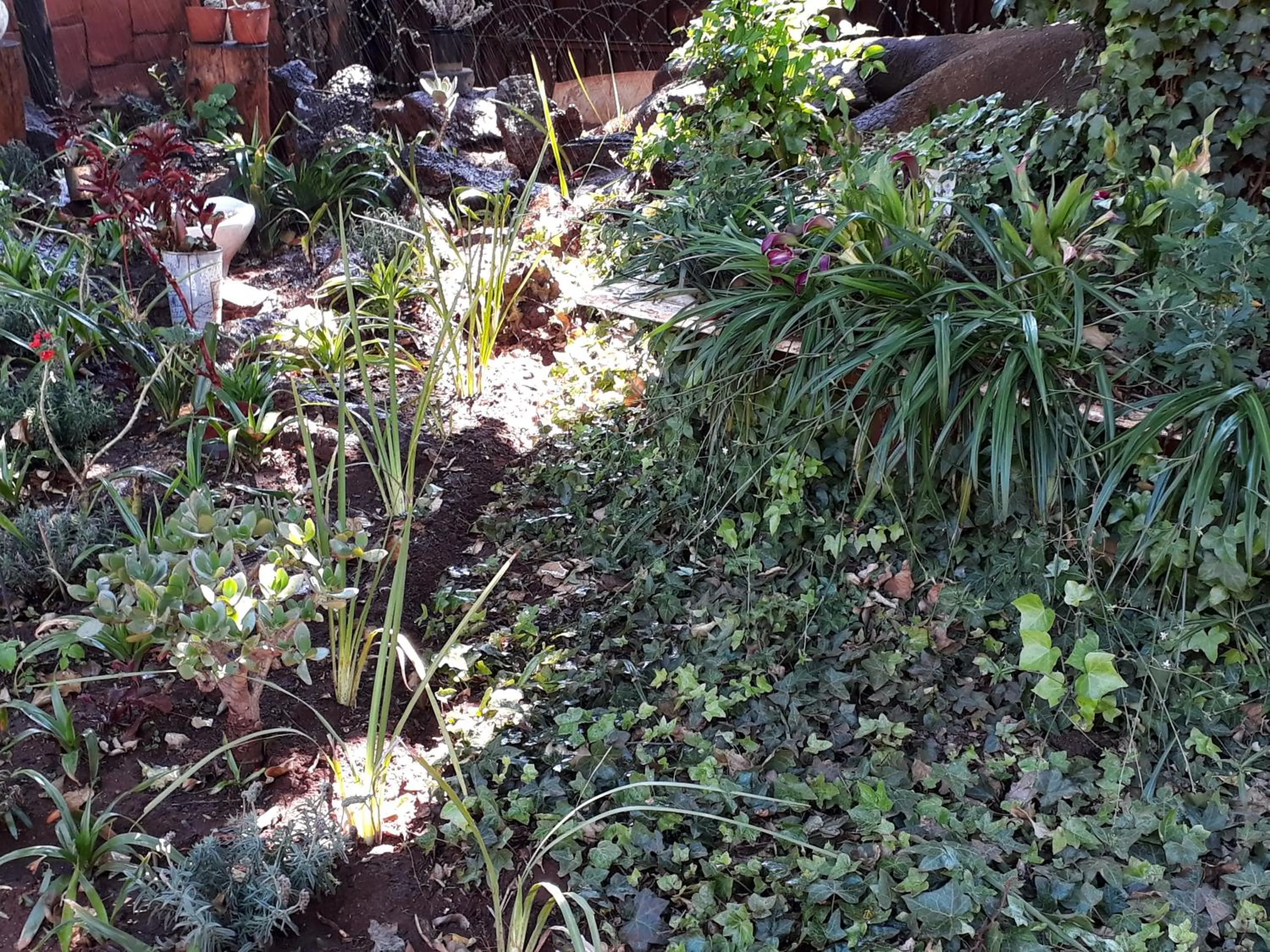 Upper Houghton Guesthouse