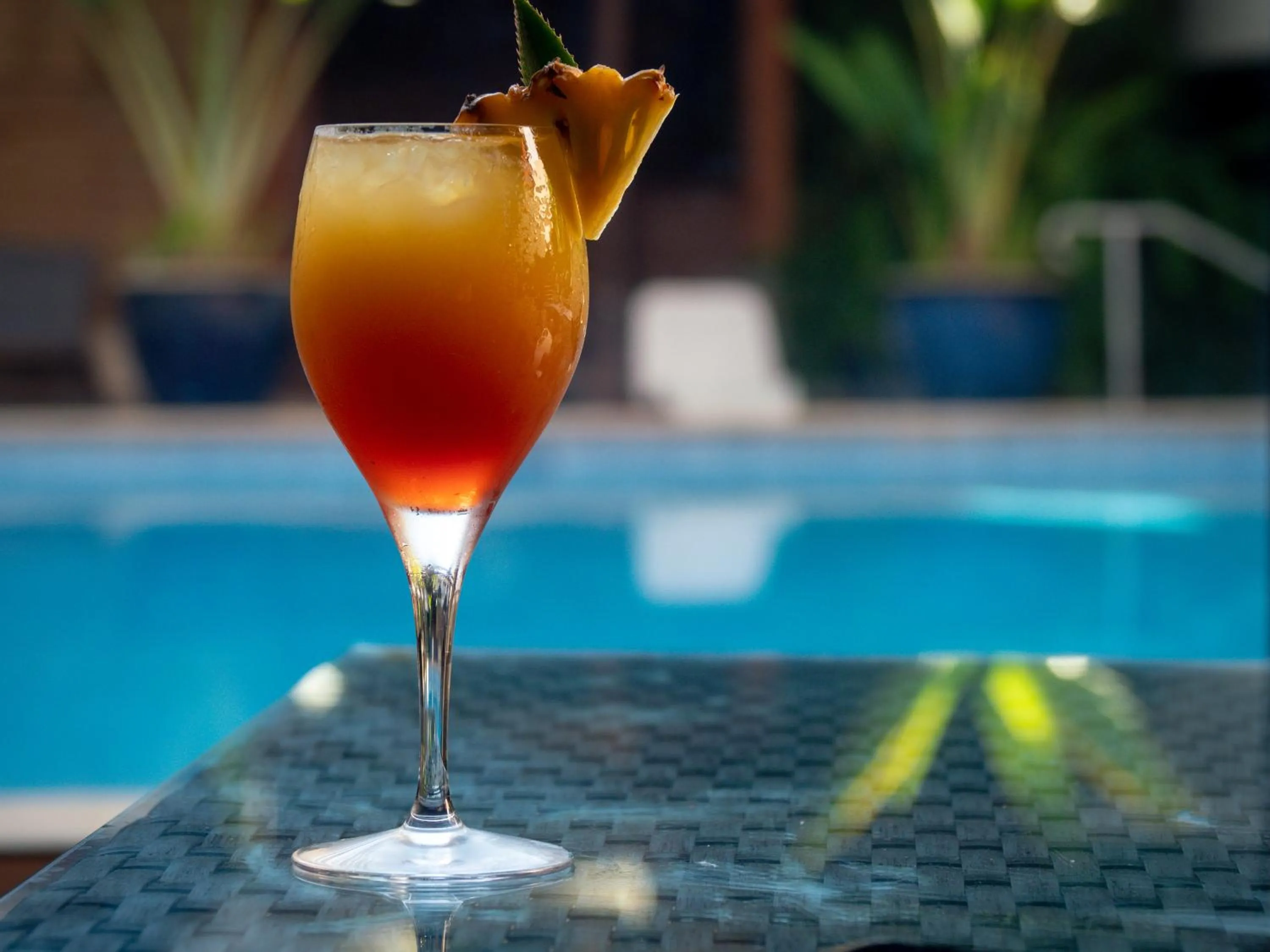 Drinks in Sud Hôtel