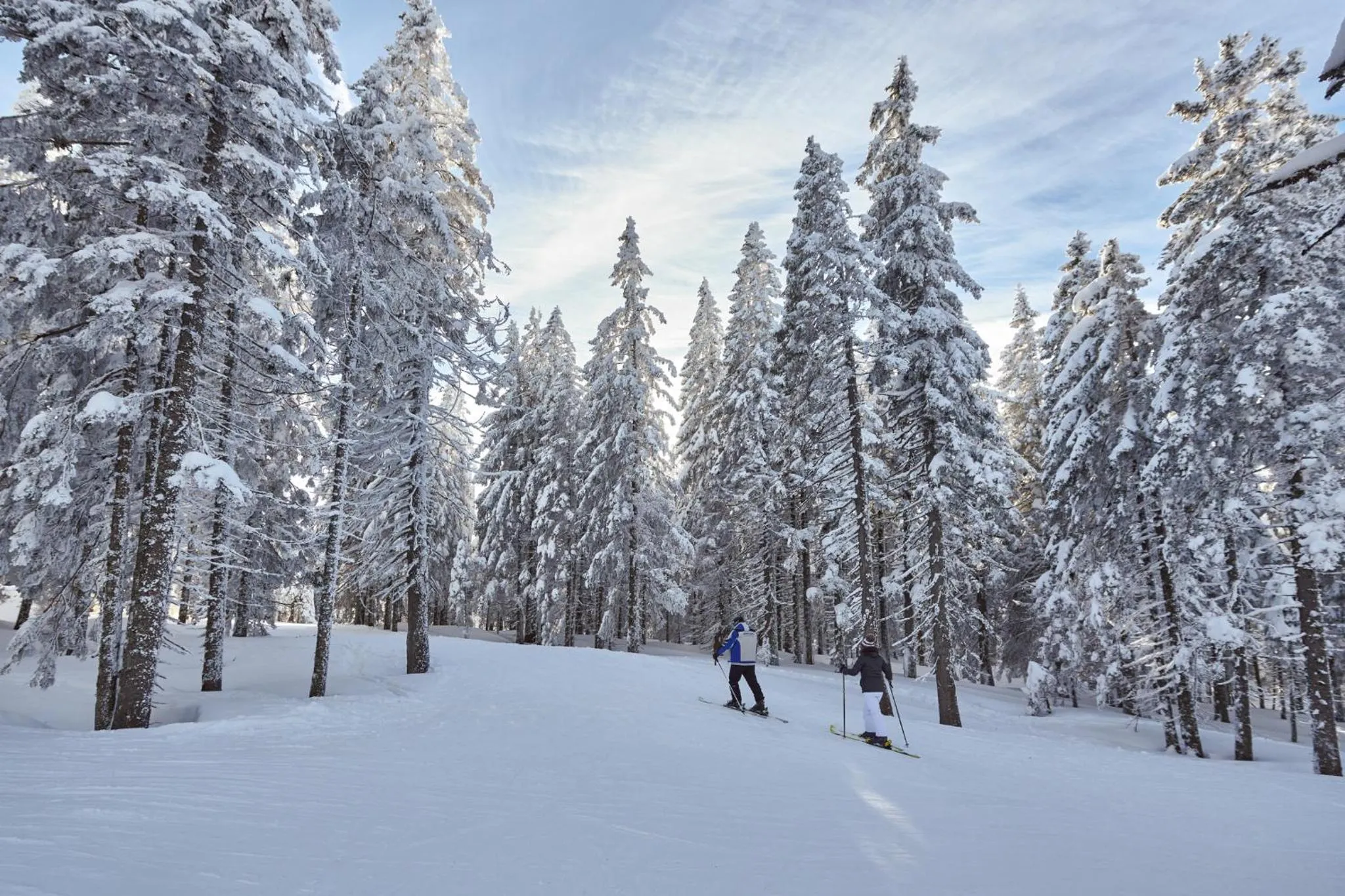 Skiing in Terme Zreče – Hotel Atrij