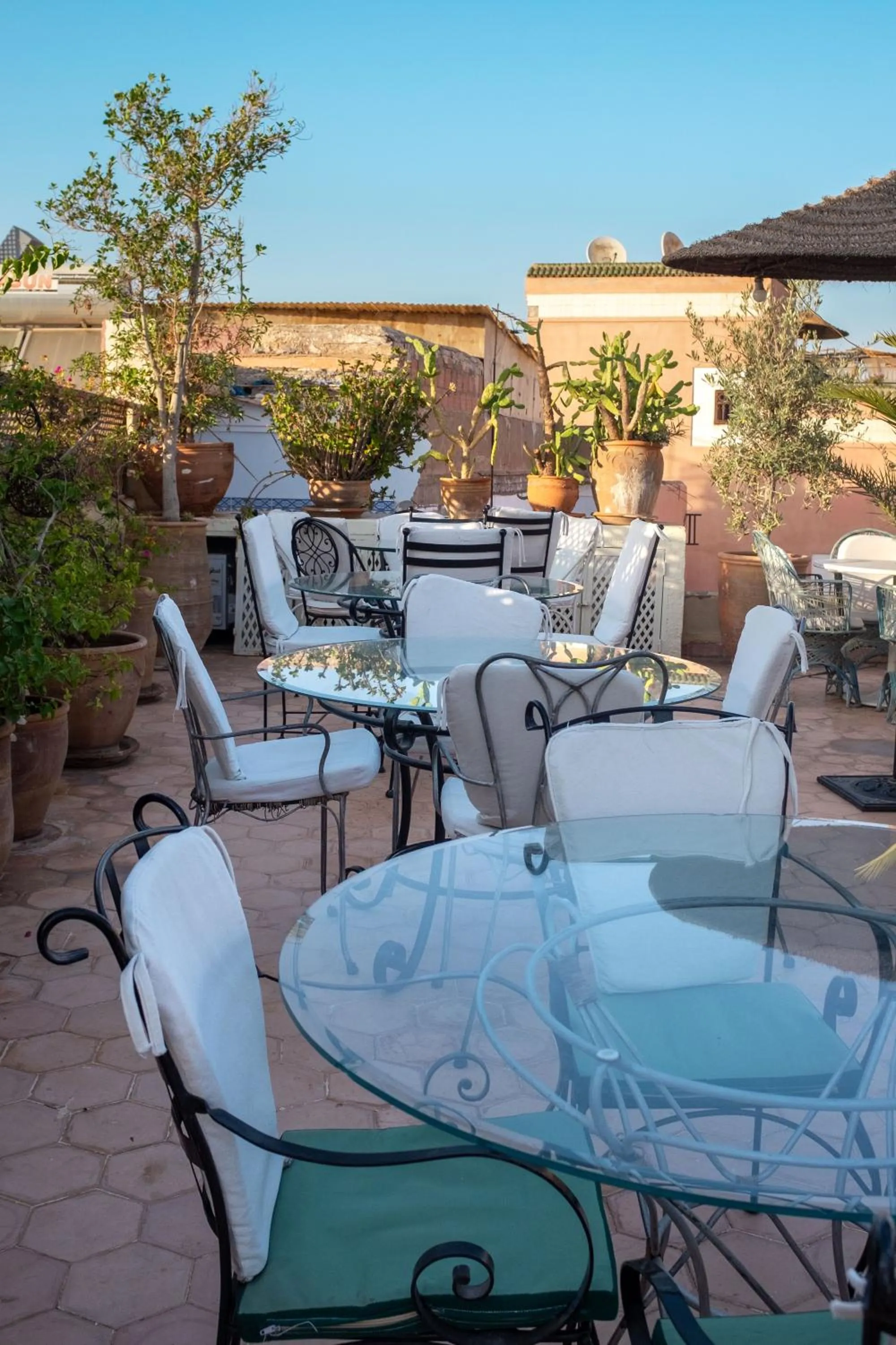 Balcony/Terrace in Riad Le Coq Berbère