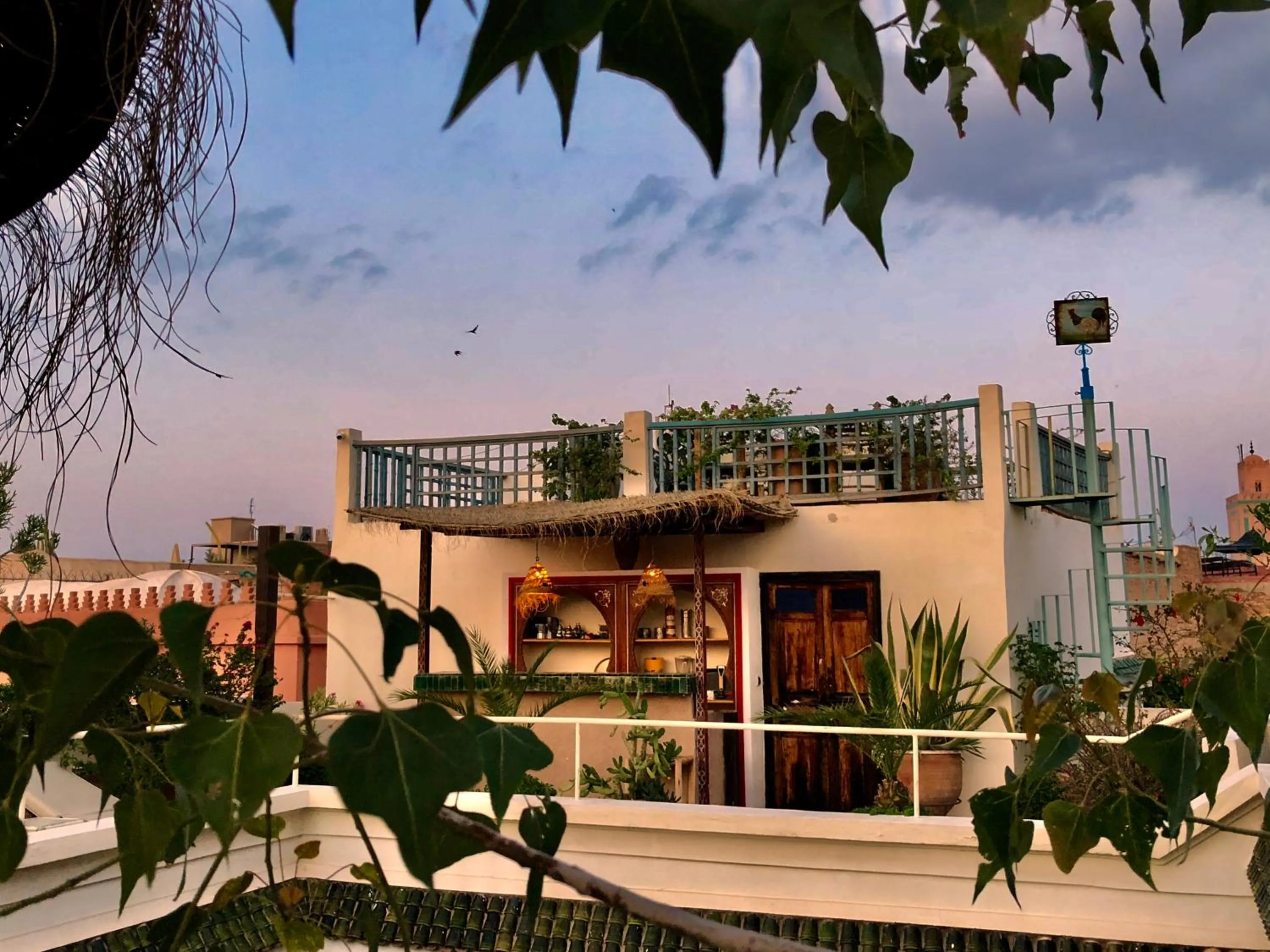 Balcony/Terrace in Riad Le Coq Berbère