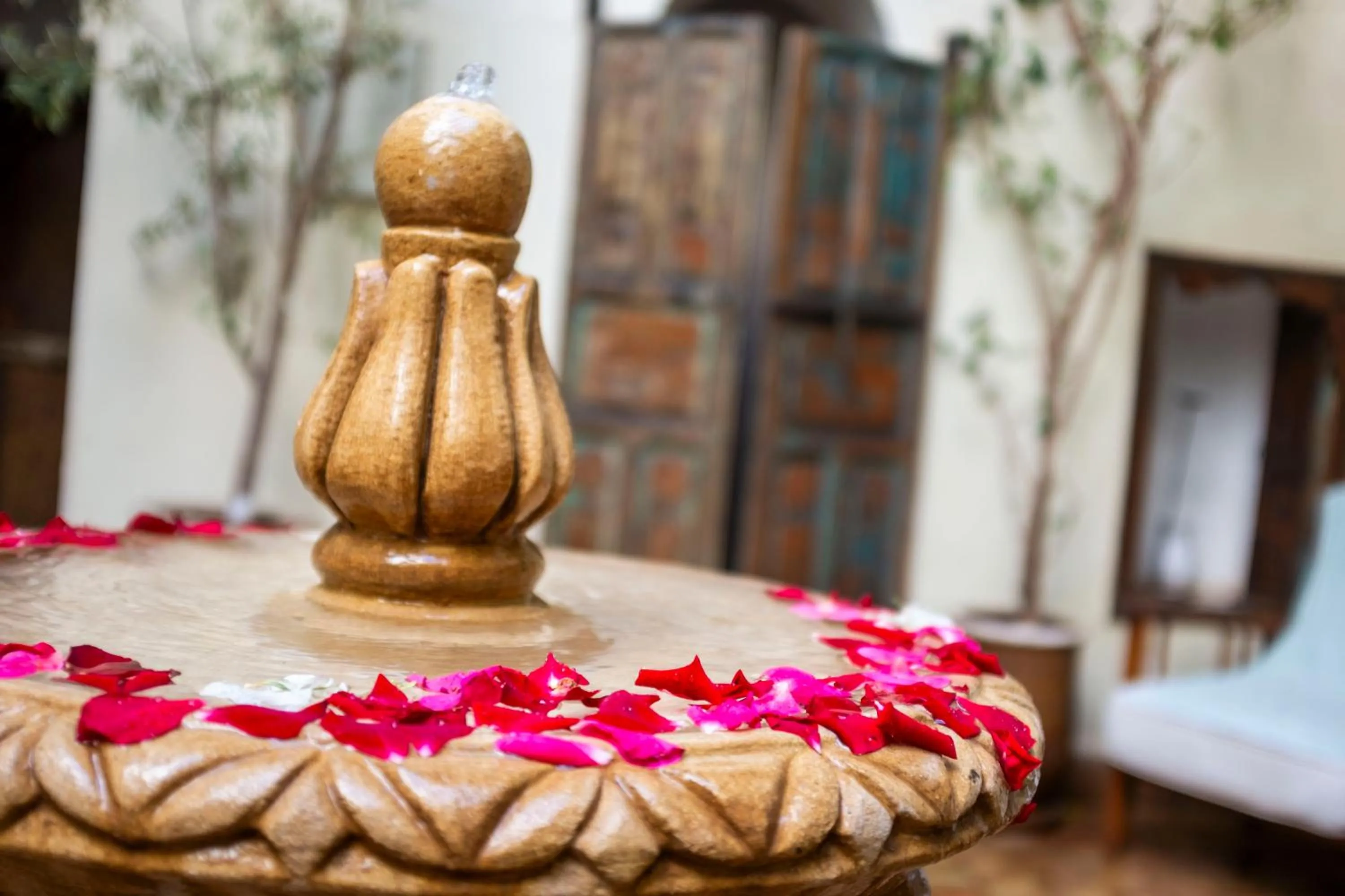 Patio in Riad Le Coq Berbère