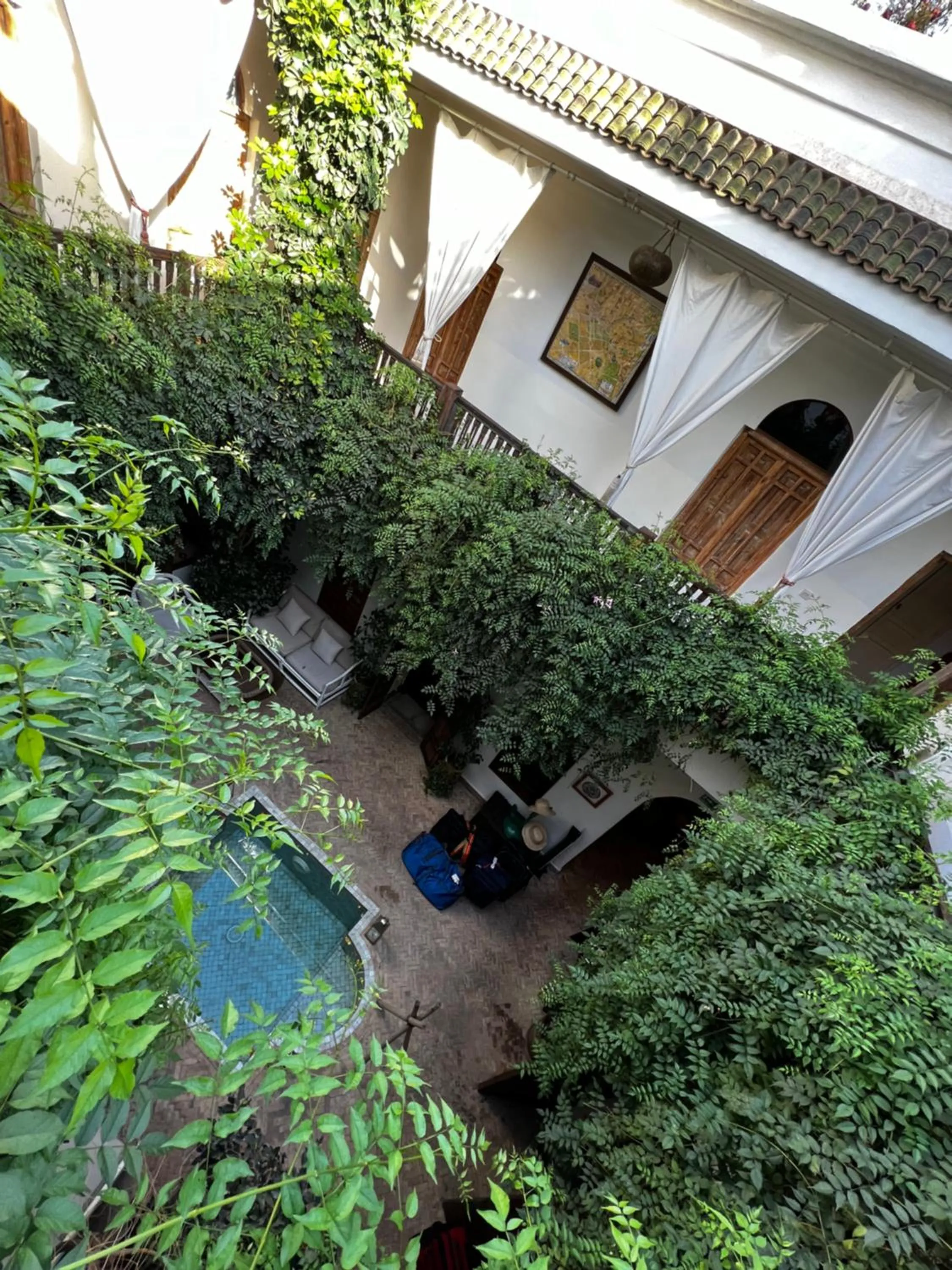 Garden in Riad Le Coq Berbère