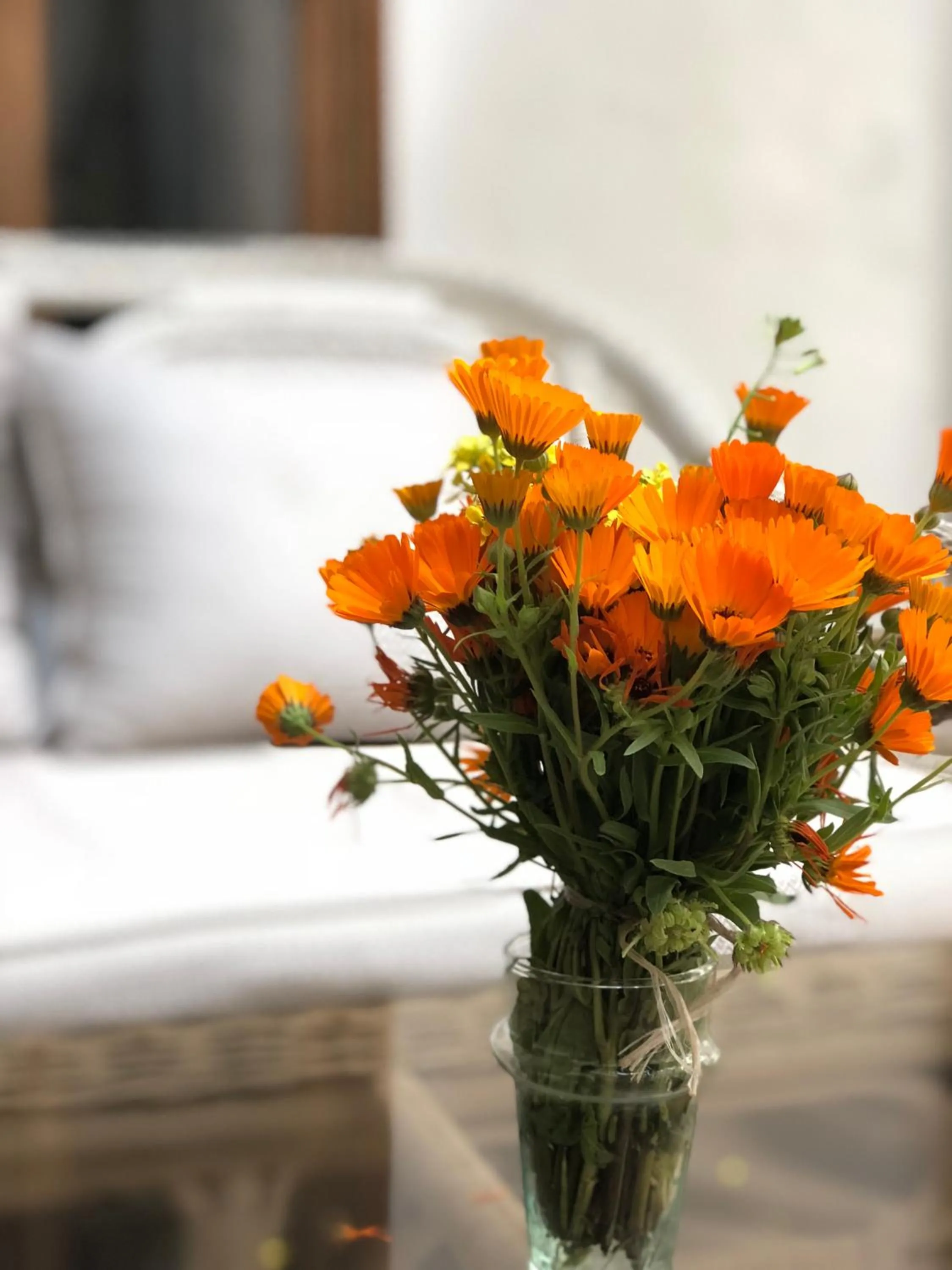 Patio in Riad Le Coq Berbère