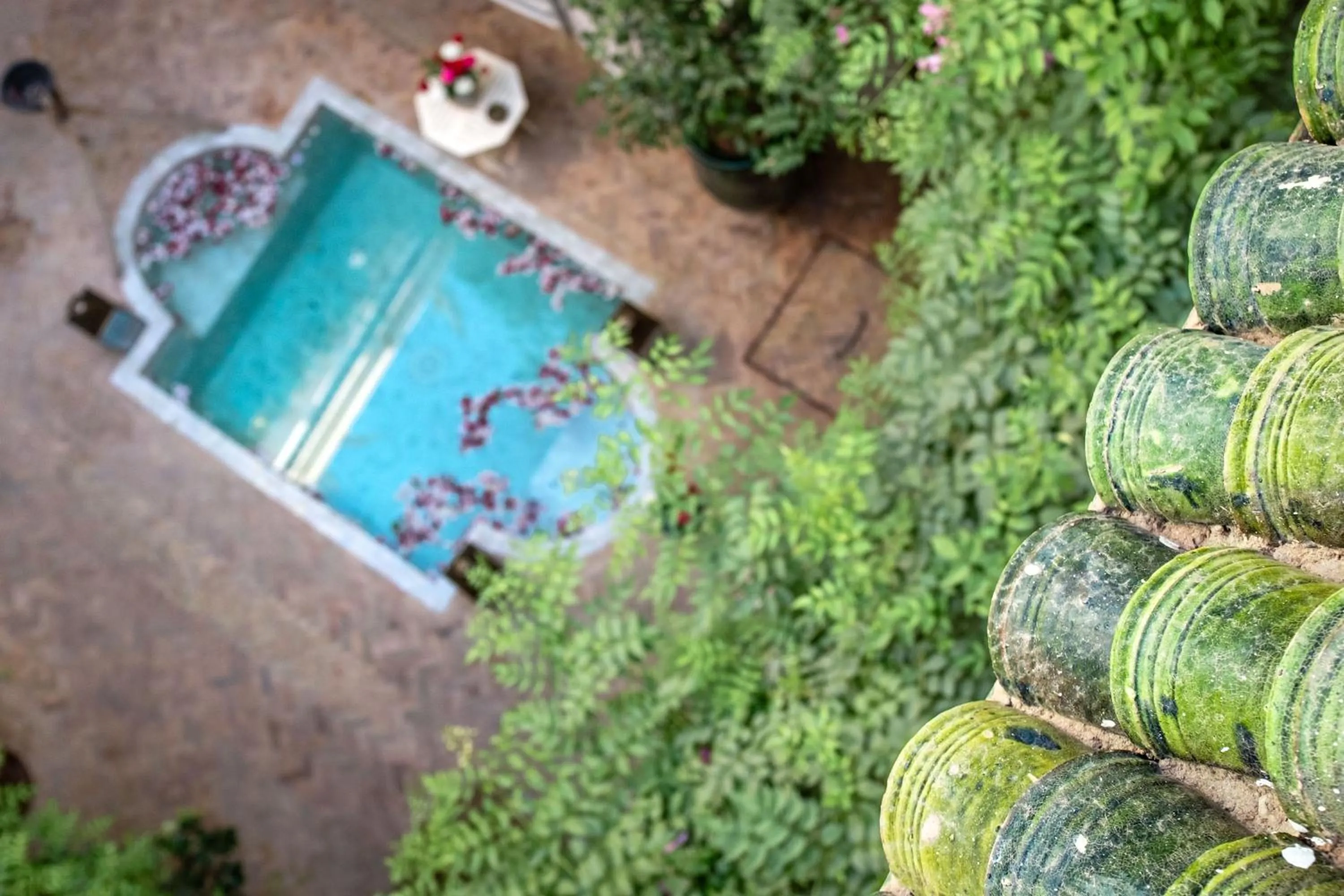Patio in Riad Le Coq Berbère
