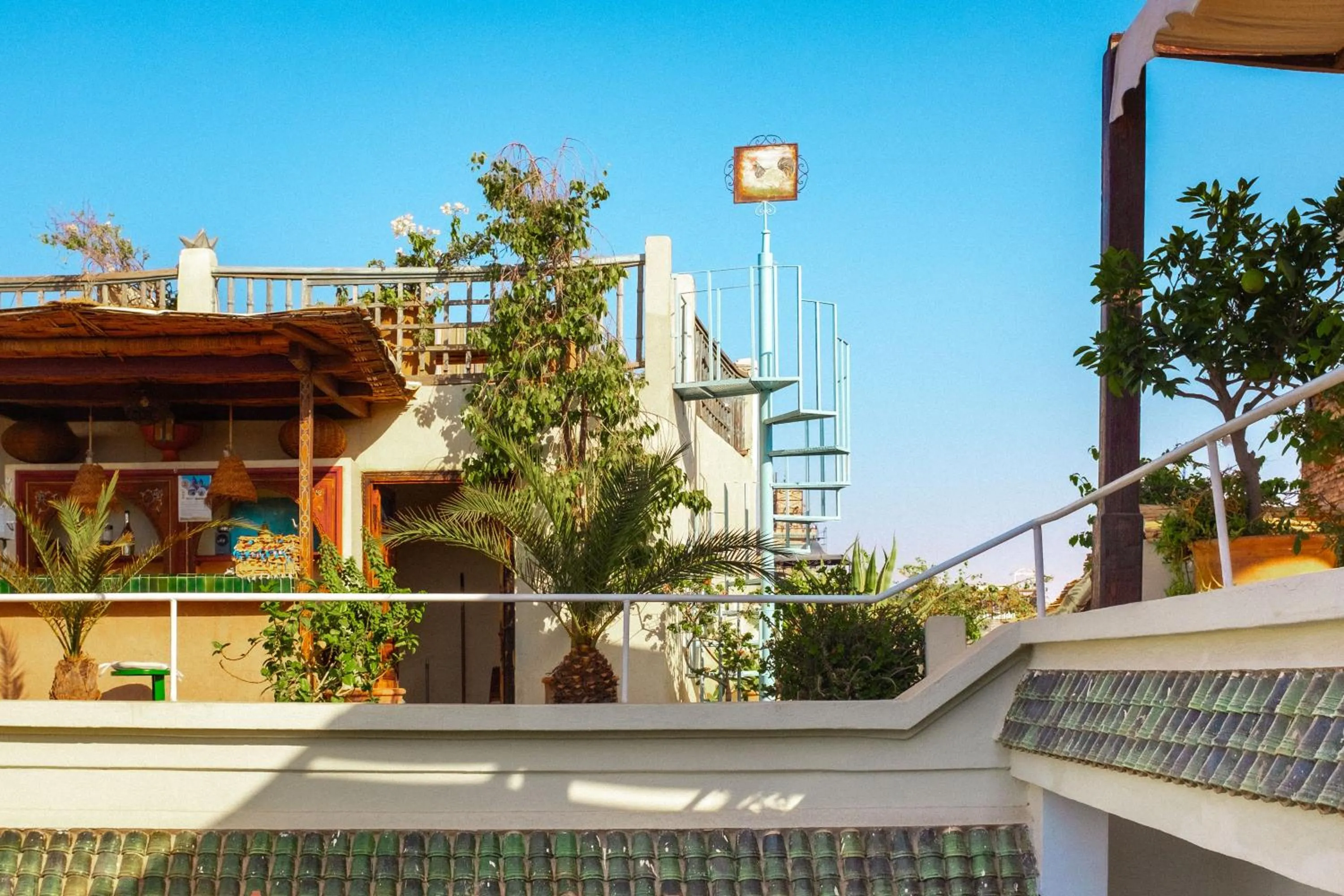 Balcony/Terrace in Riad Le Coq Berbère
