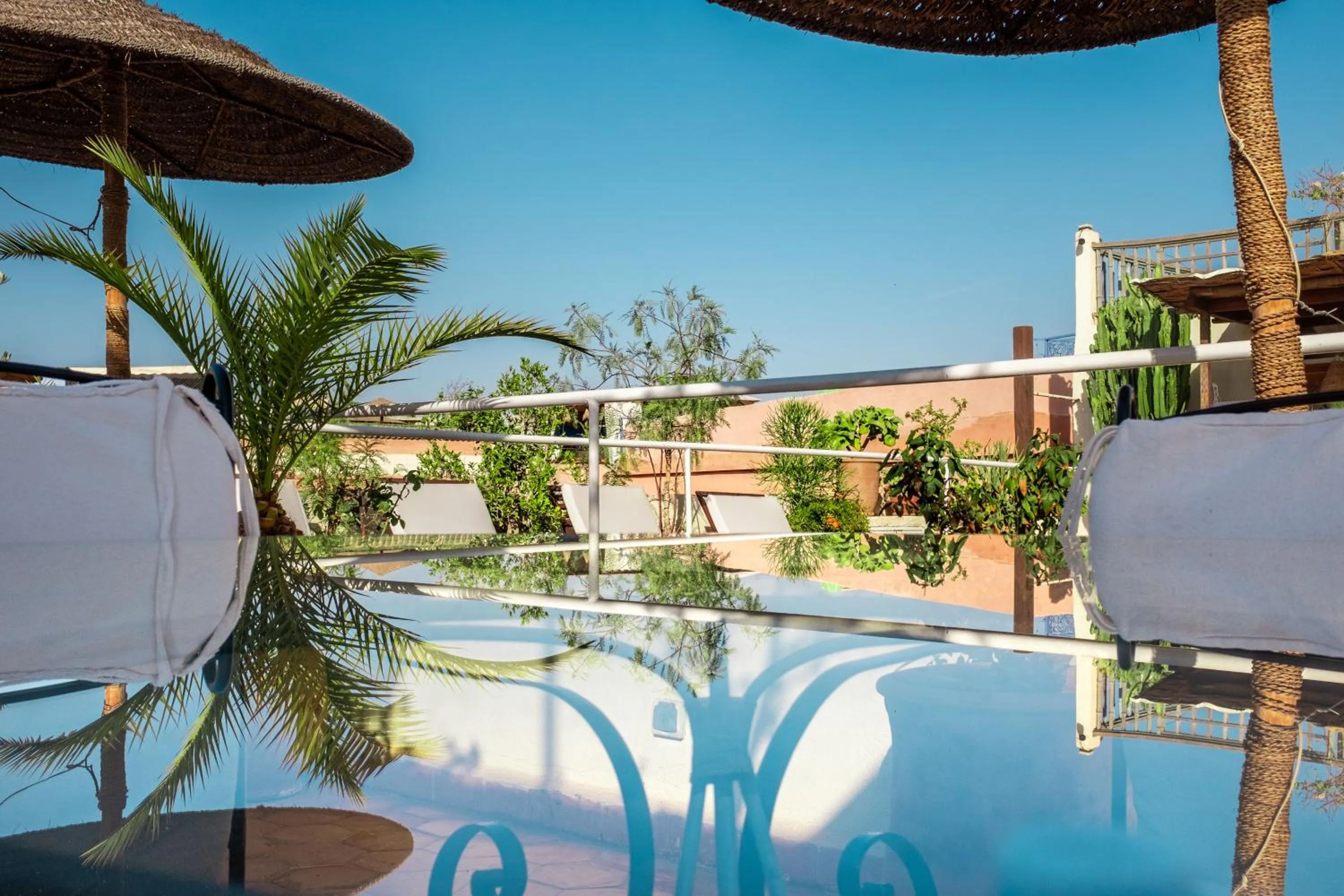 Balcony/Terrace in Riad Le Coq Berbère