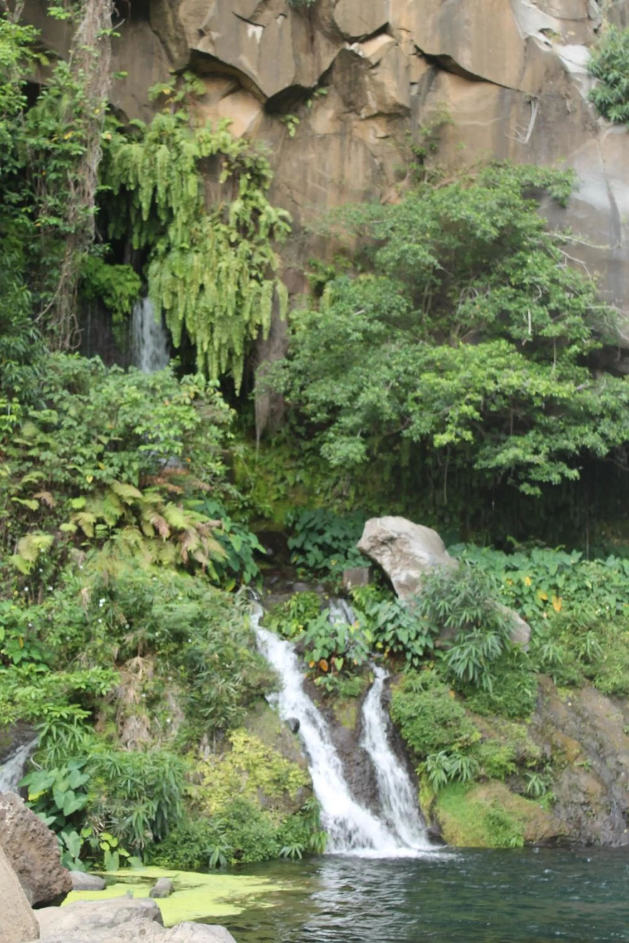 Day in Hôtel Les Créoles