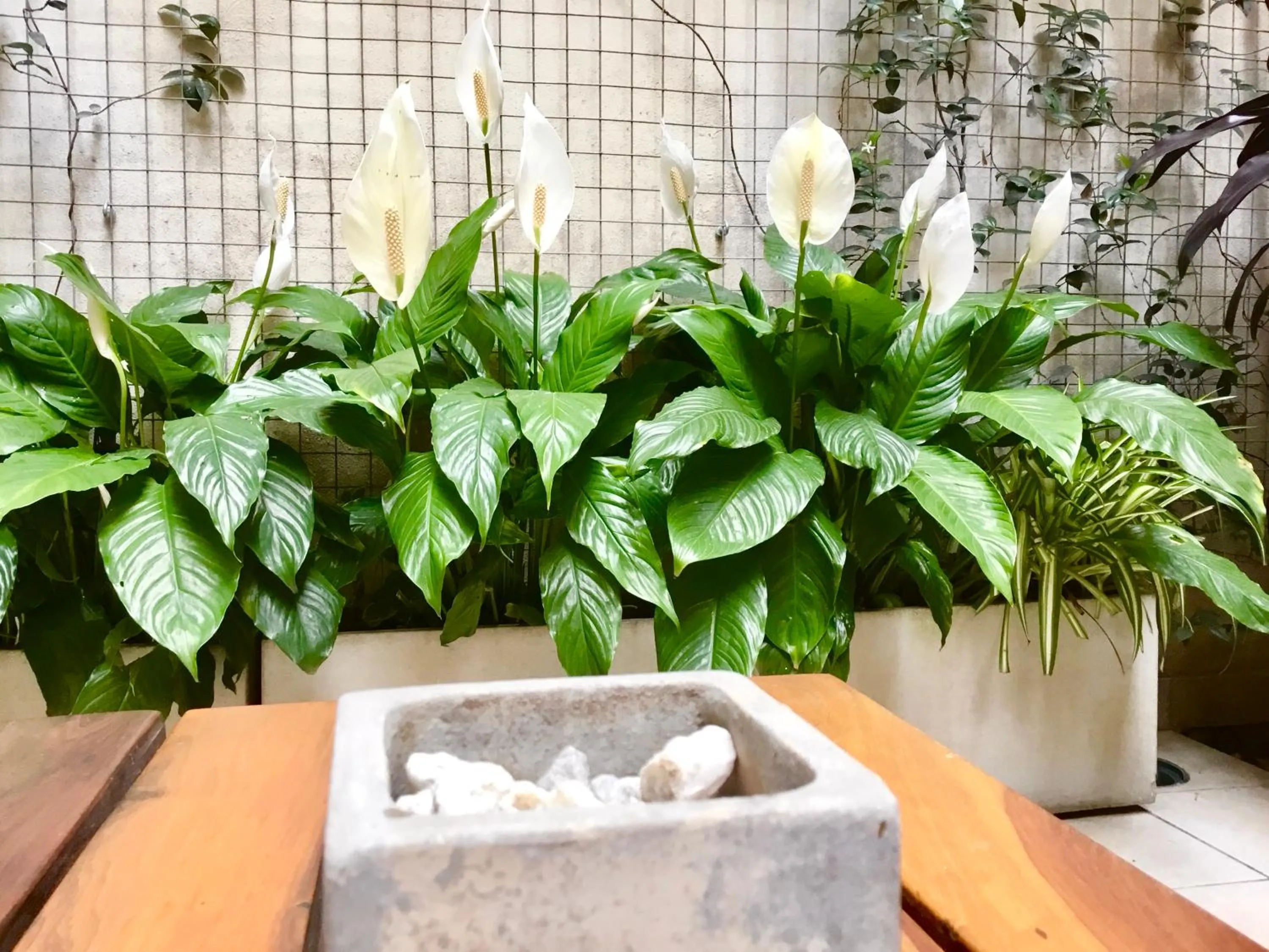 Apart Hotel Rio Grande