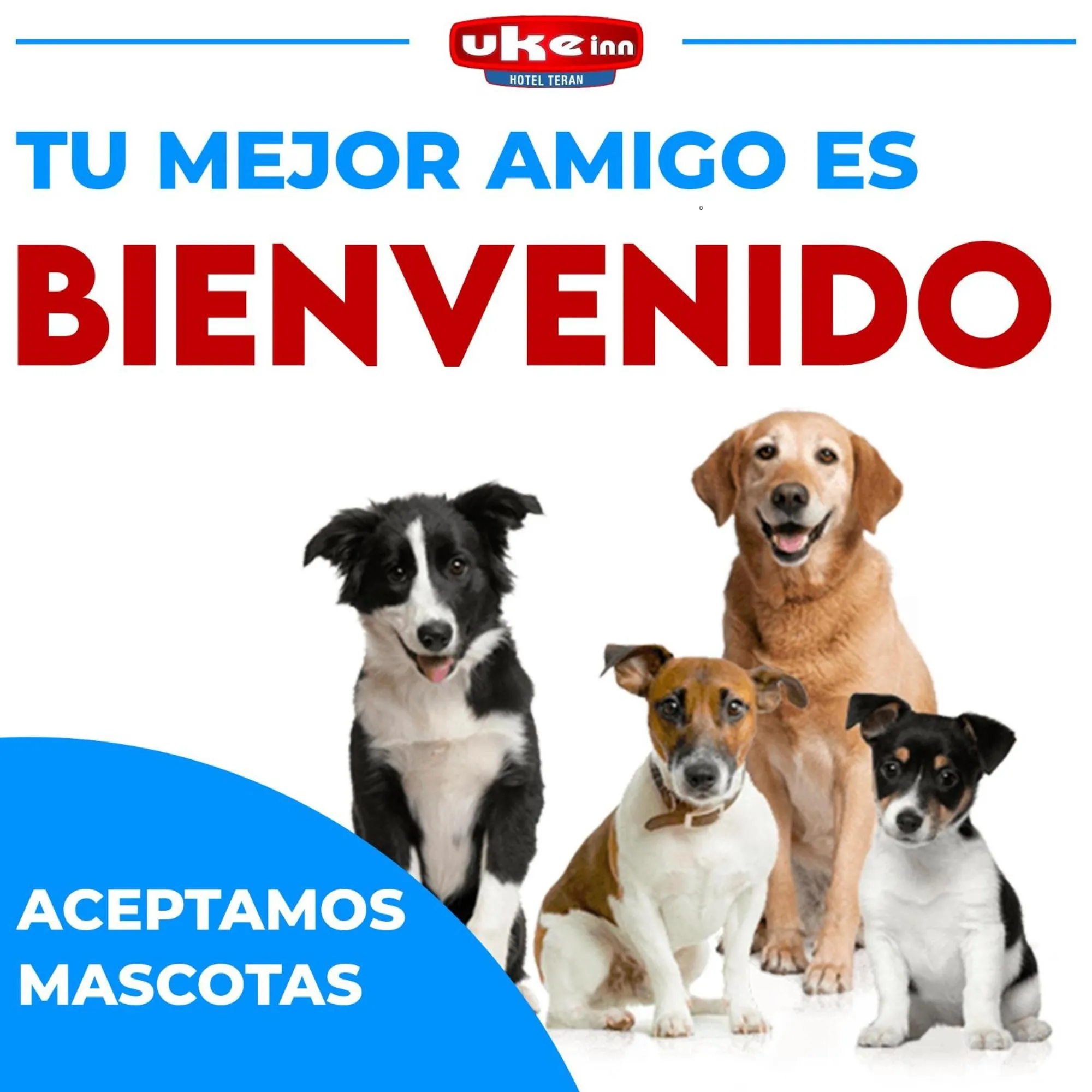 Pets in Hotel Uke Inn Terán