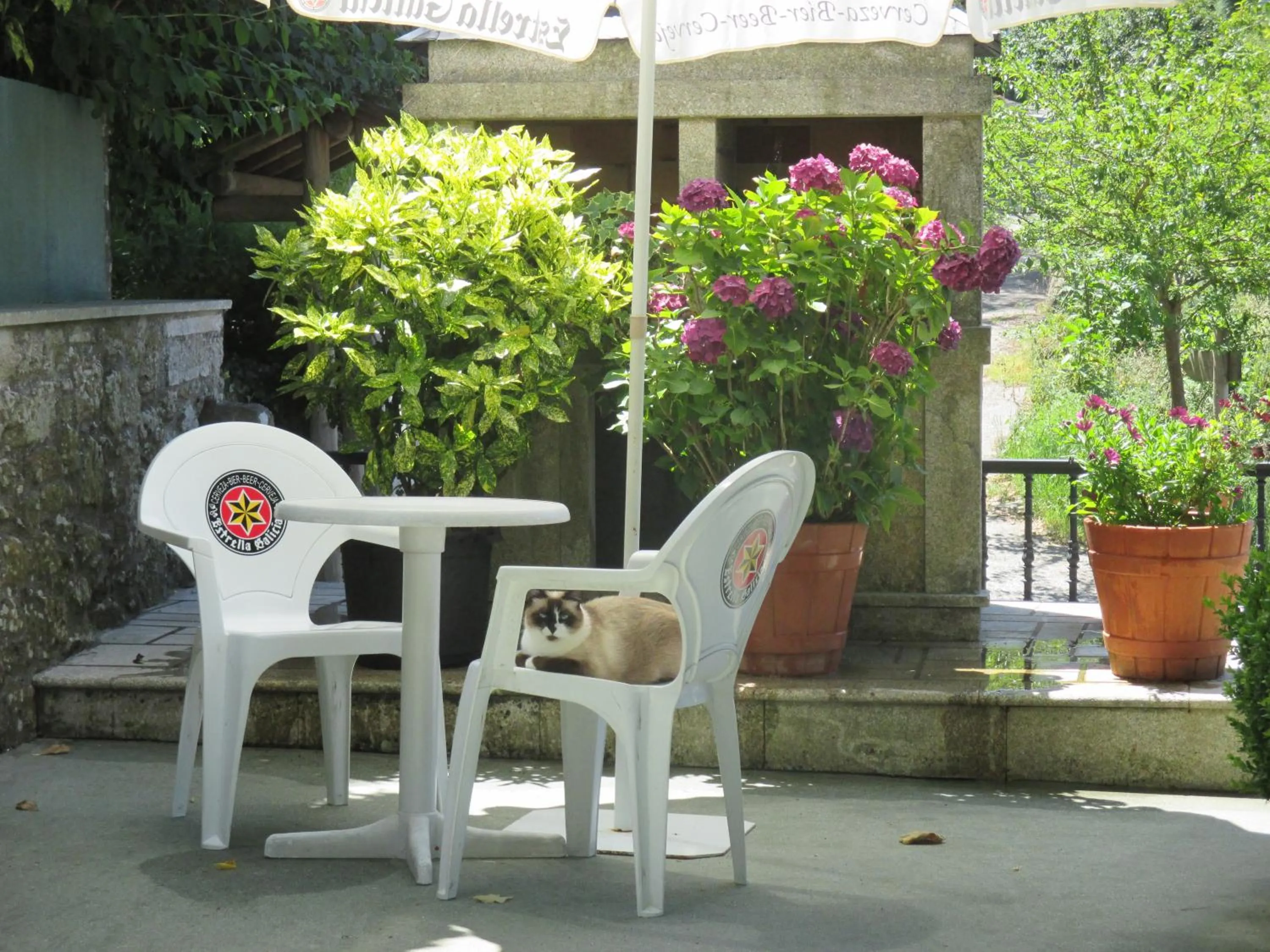 Balcony/Terrace in Hotel Chola