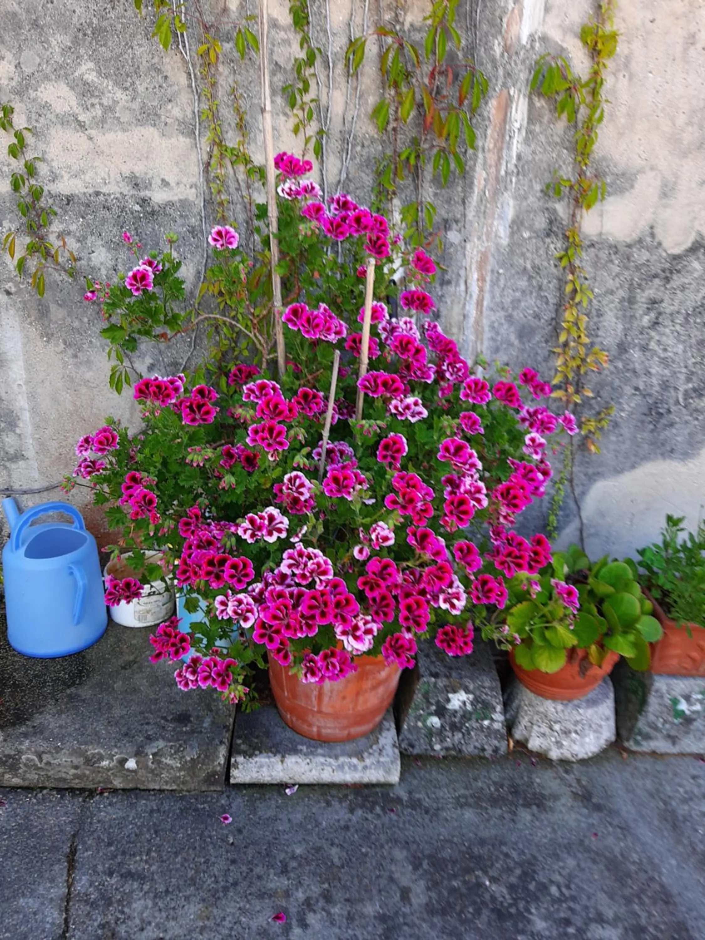 Off site in Hotel Chola