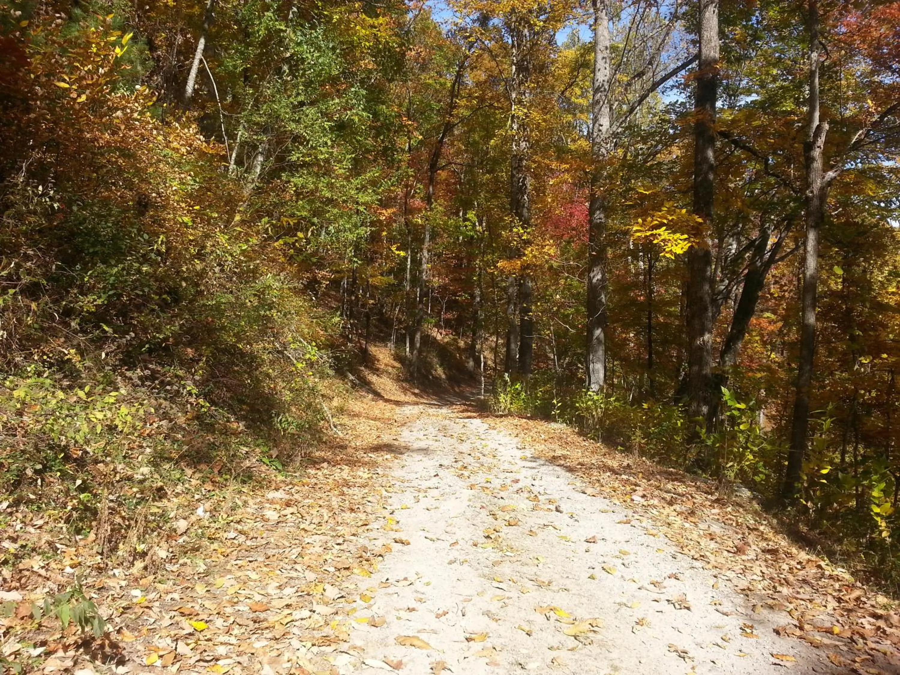 Spring in Arrowmont Stables & Cabins
