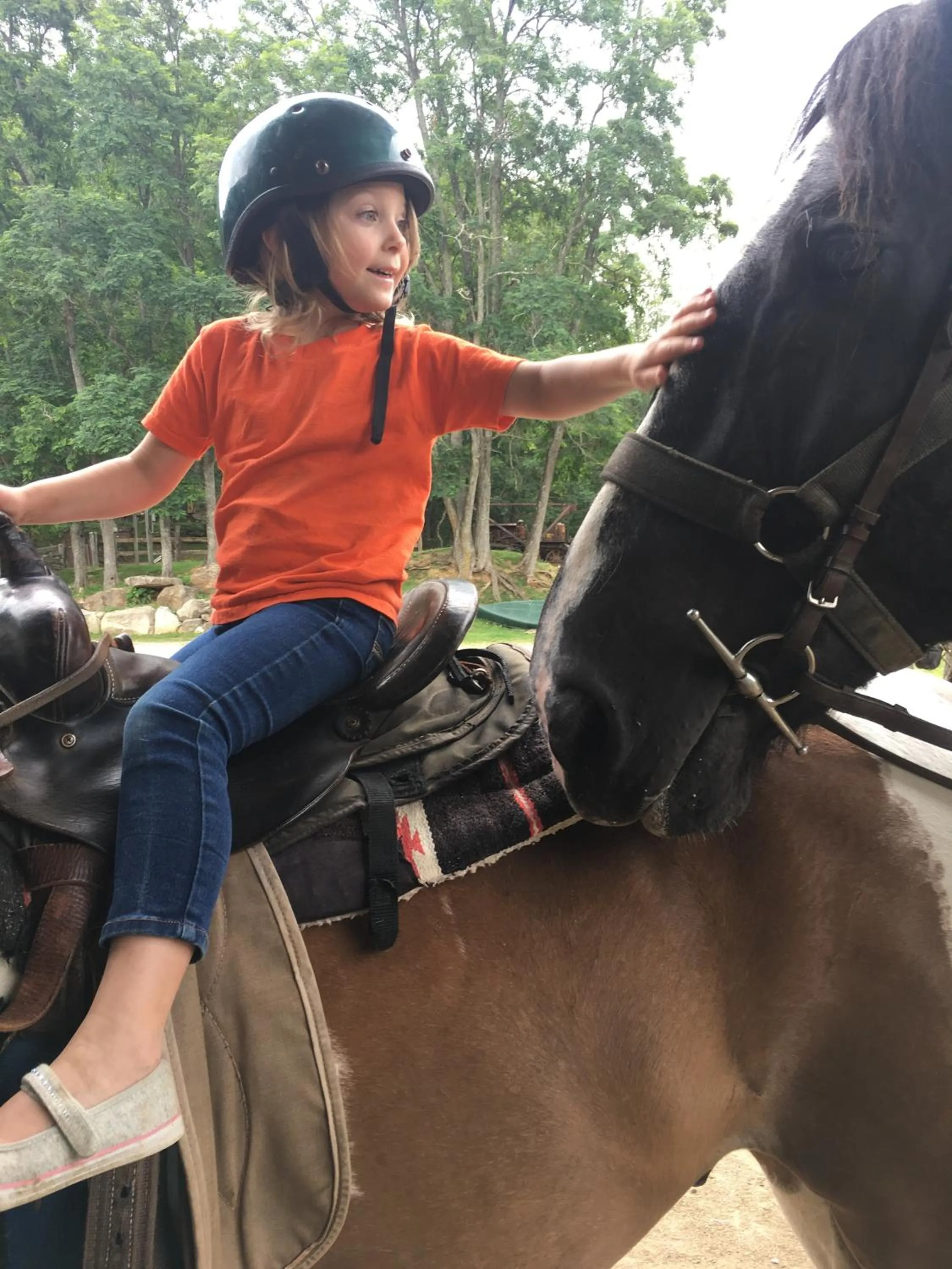 Horse-riding in Arrowmont Stables & Cabins
