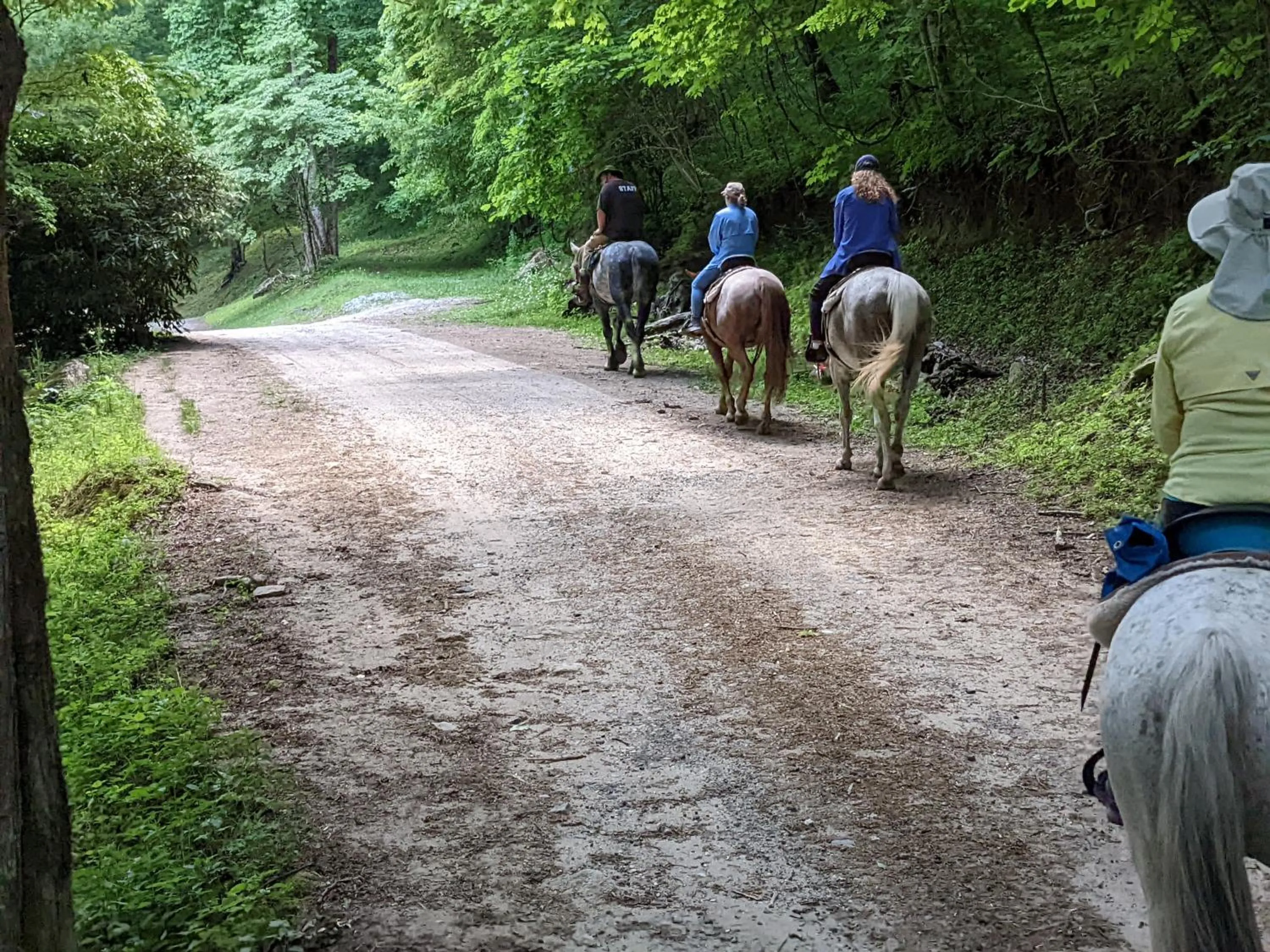 Staff in Arrowmont Stables & Cabins