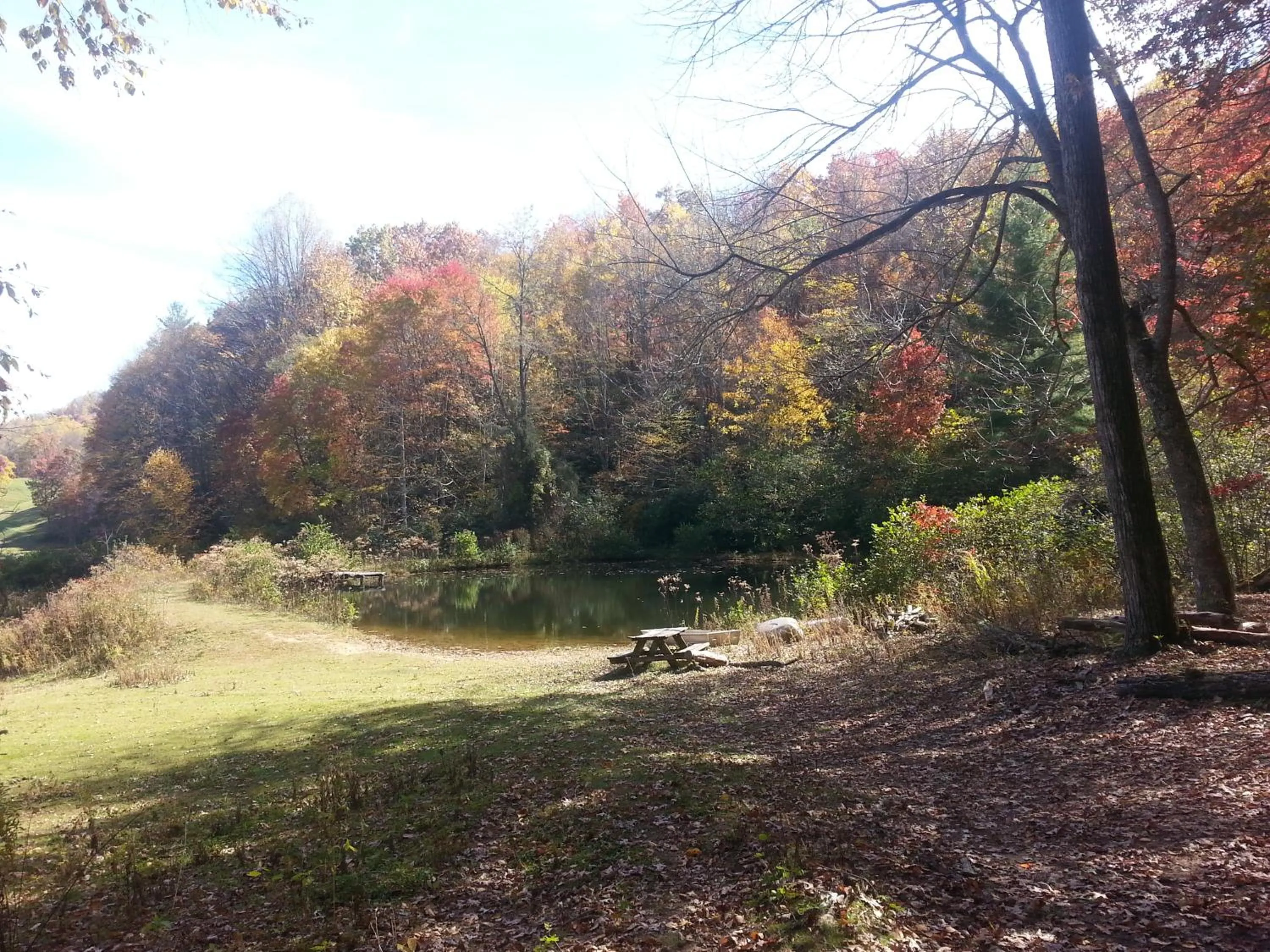 Fishing in Arrowmont Stables & Cabins