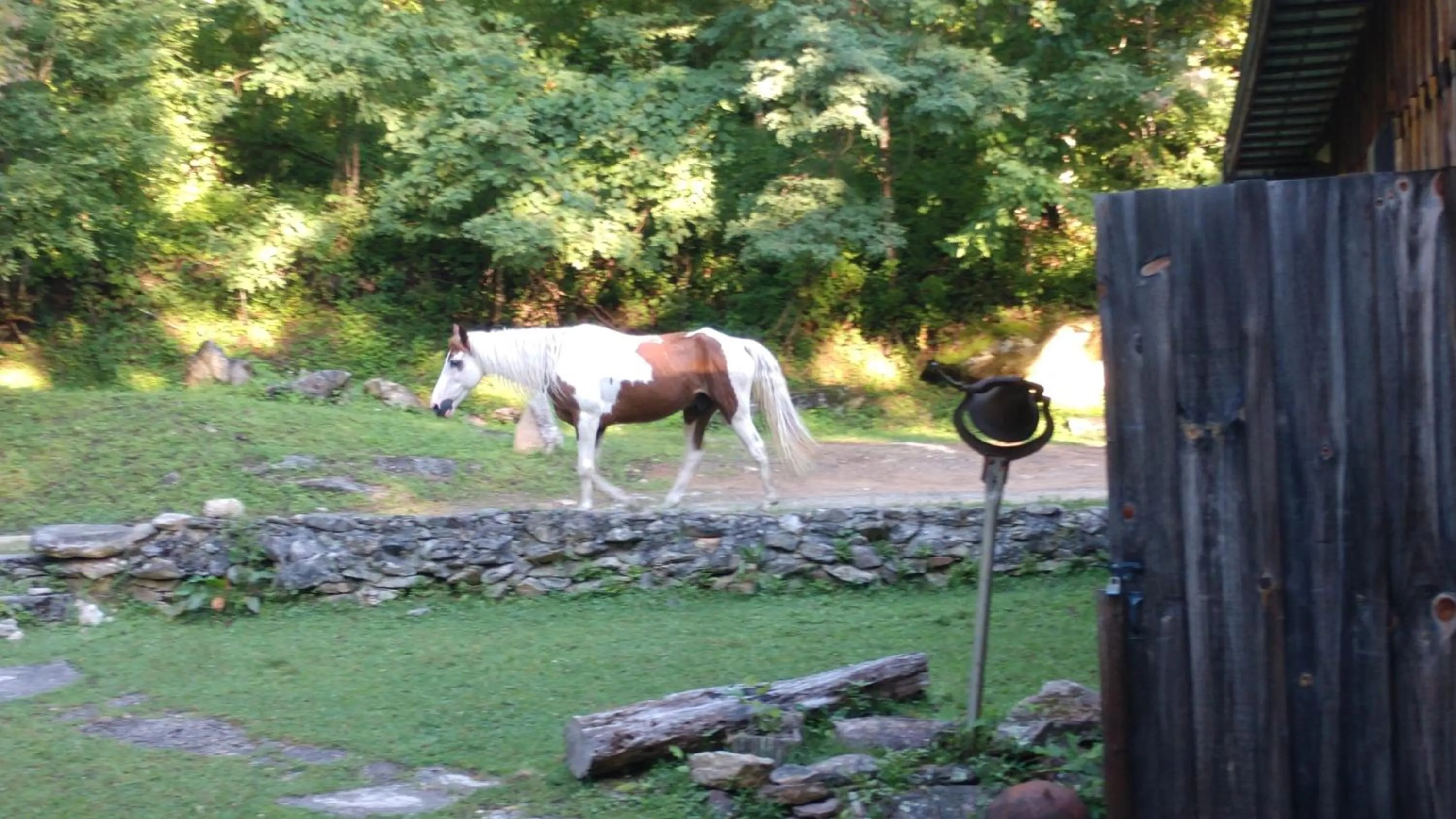 Facade/entrance in Arrowmont Stables & Cabins