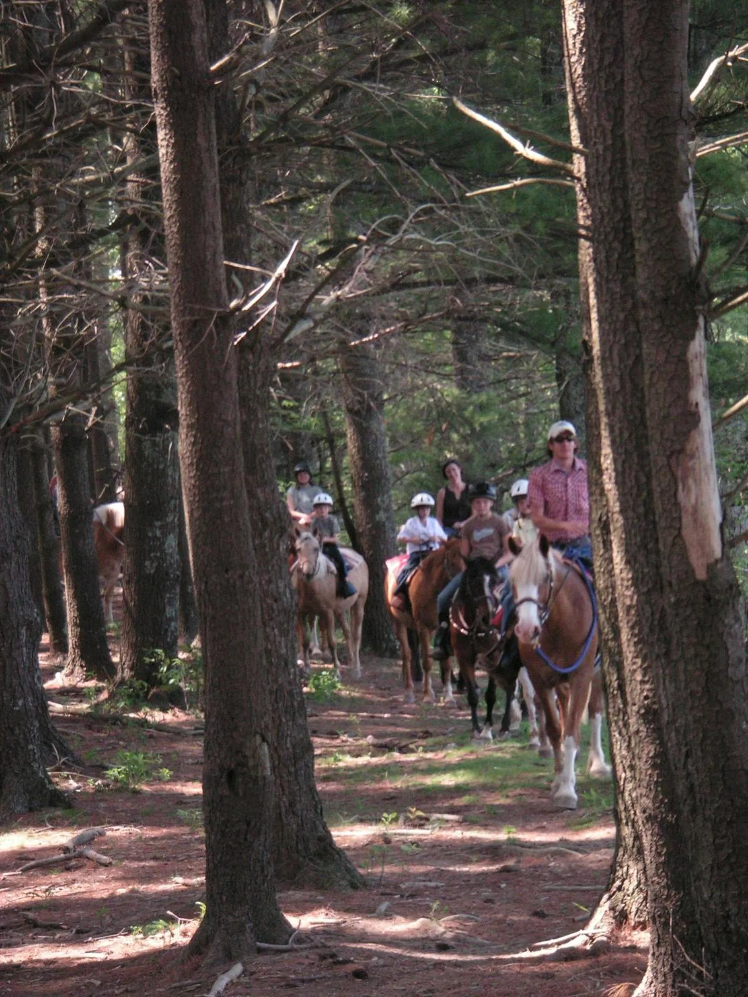 Staff in Arrowmont Stables & Cabins