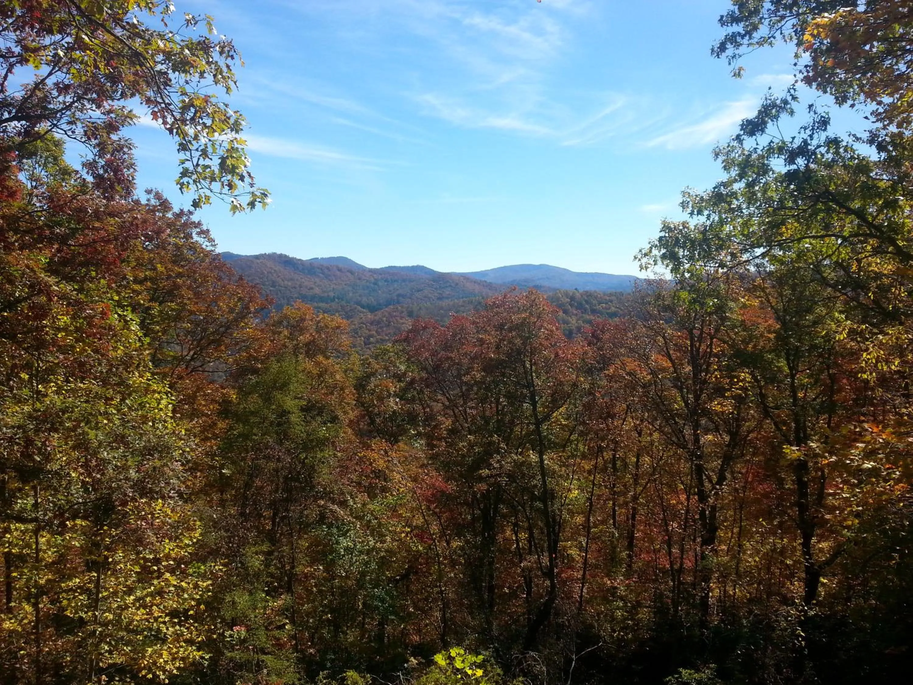 Fishing in Arrowmont Stables & Cabins