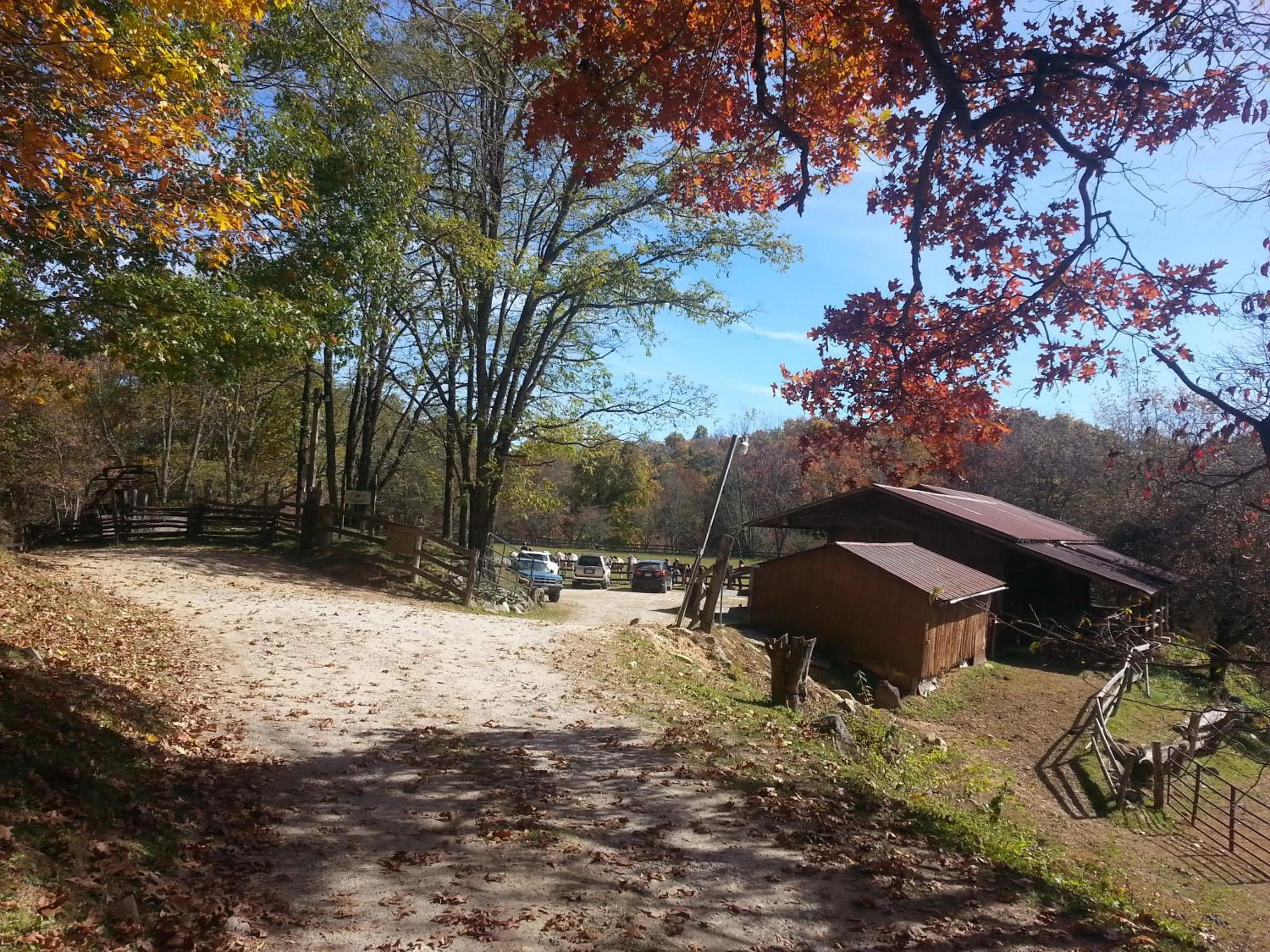 Horse-riding in Arrowmont Stables & Cabins
