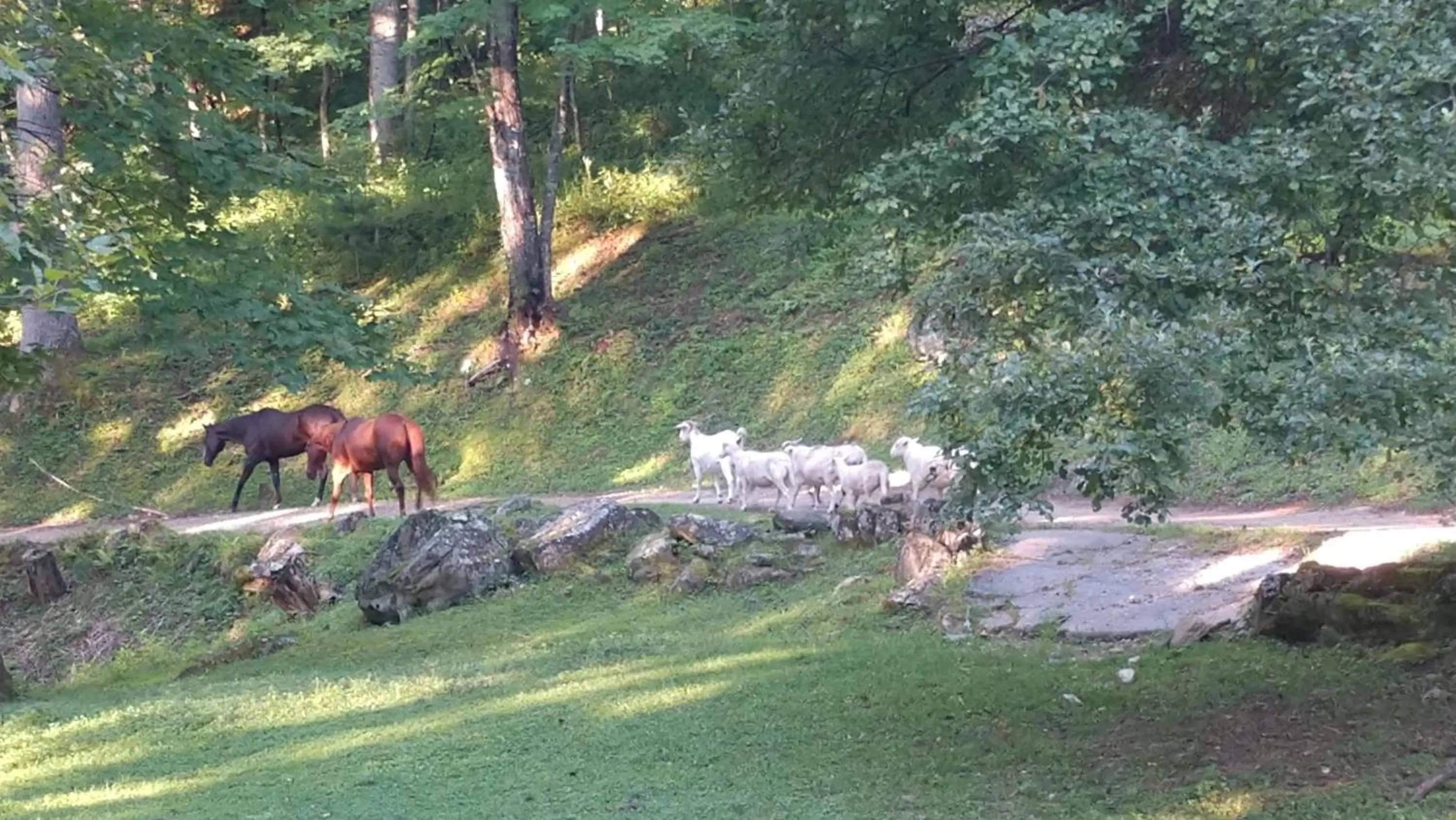 Facade/entrance in Arrowmont Stables & Cabins