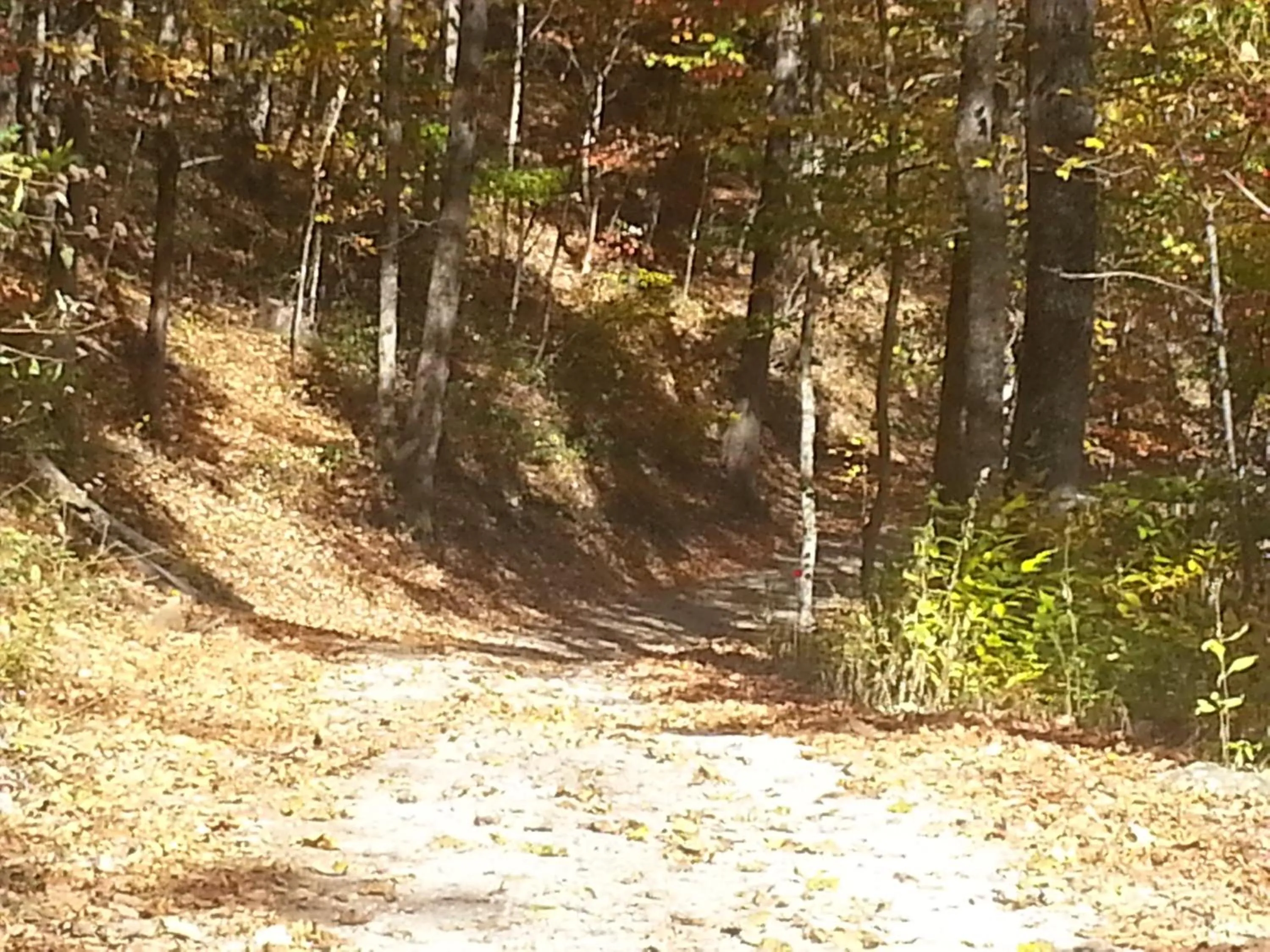 Spring in Arrowmont Stables & Cabins
