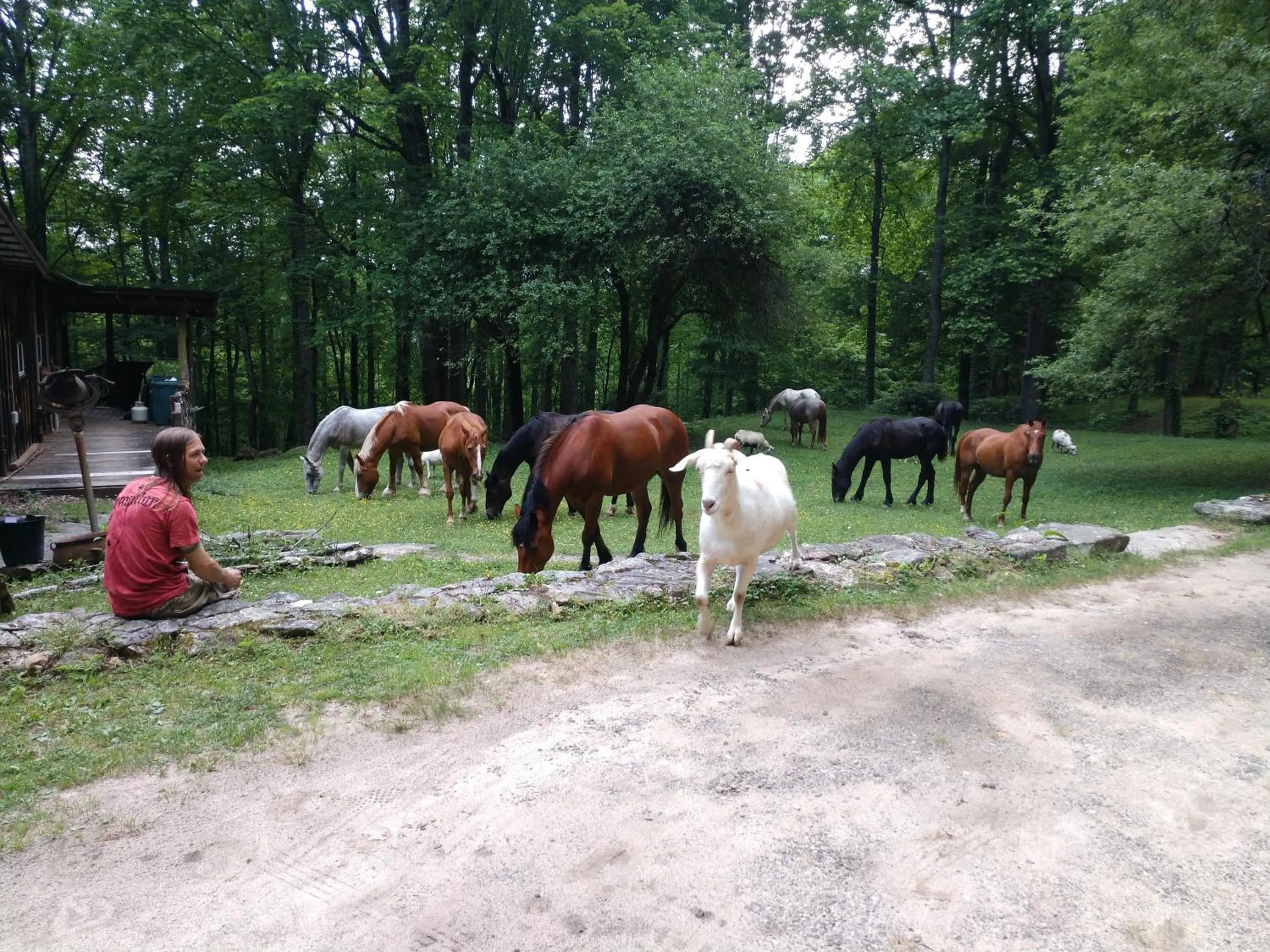 Facade/entrance in Arrowmont Stables & Cabins