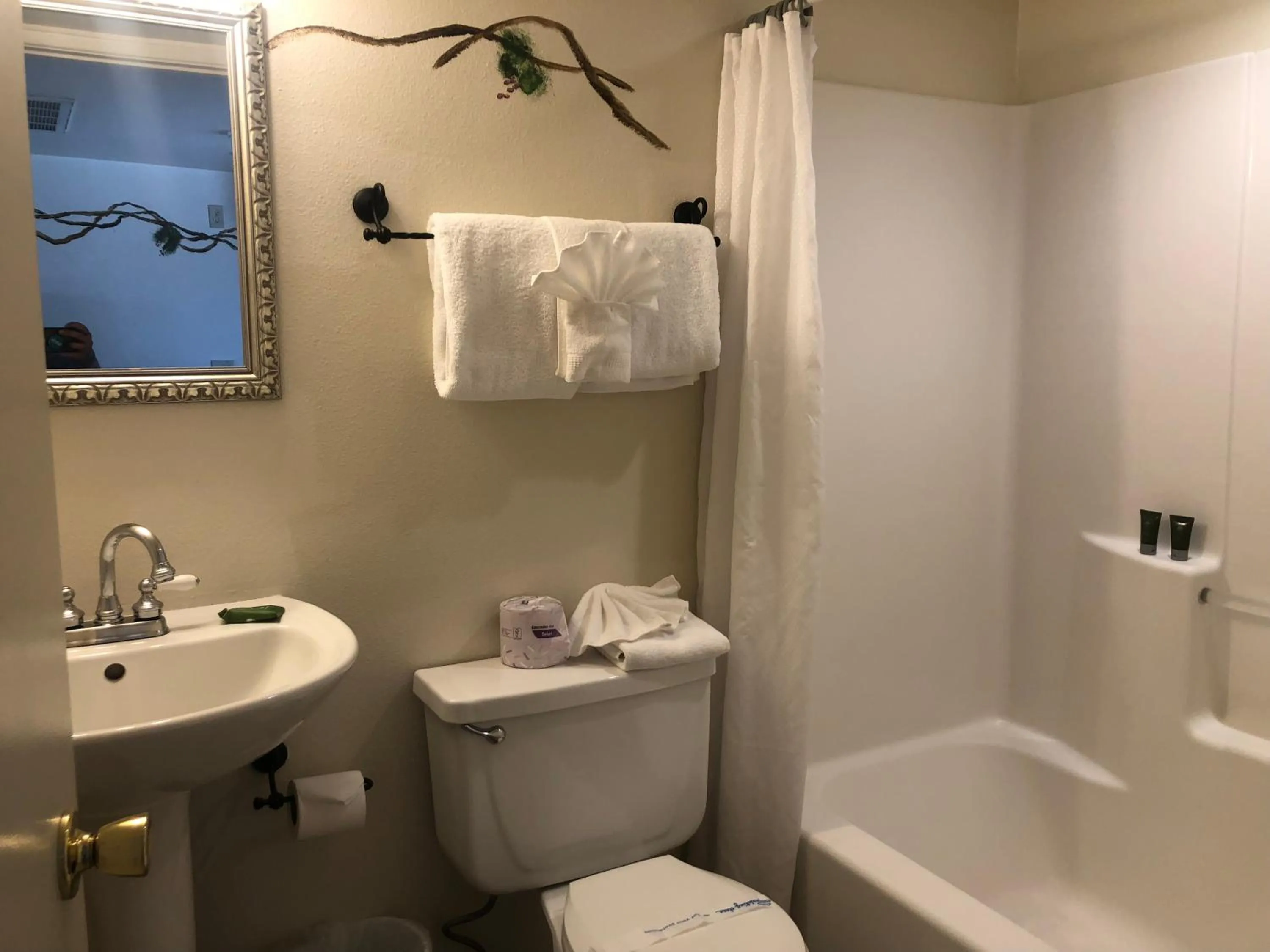 Shower in Fireside Lodge