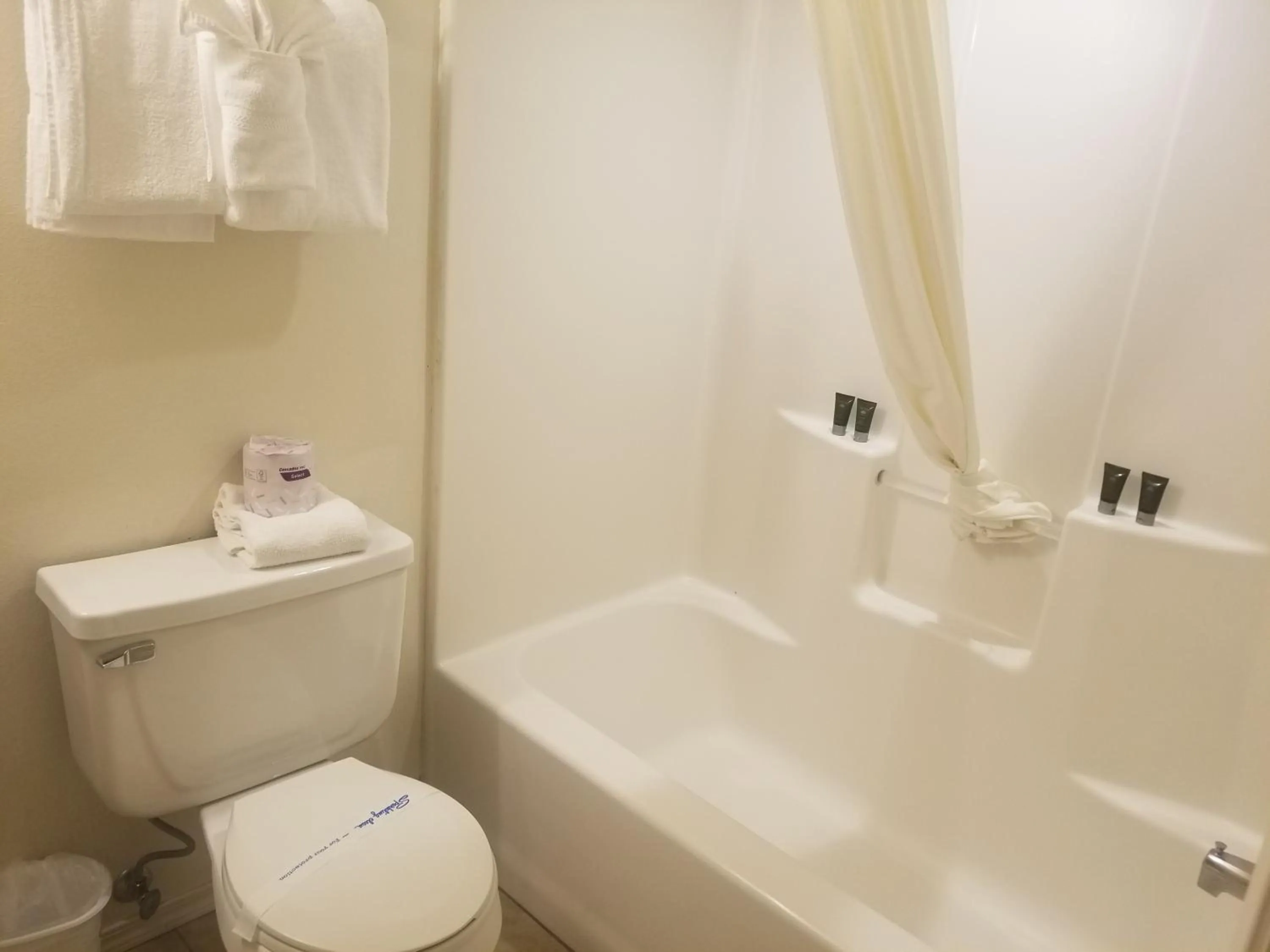 Toilet in Fireside Lodge