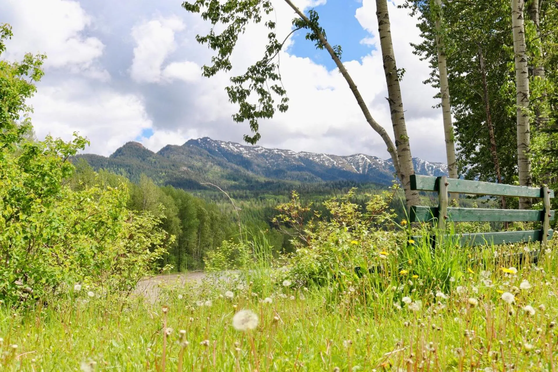 Fernie Stanford Resort